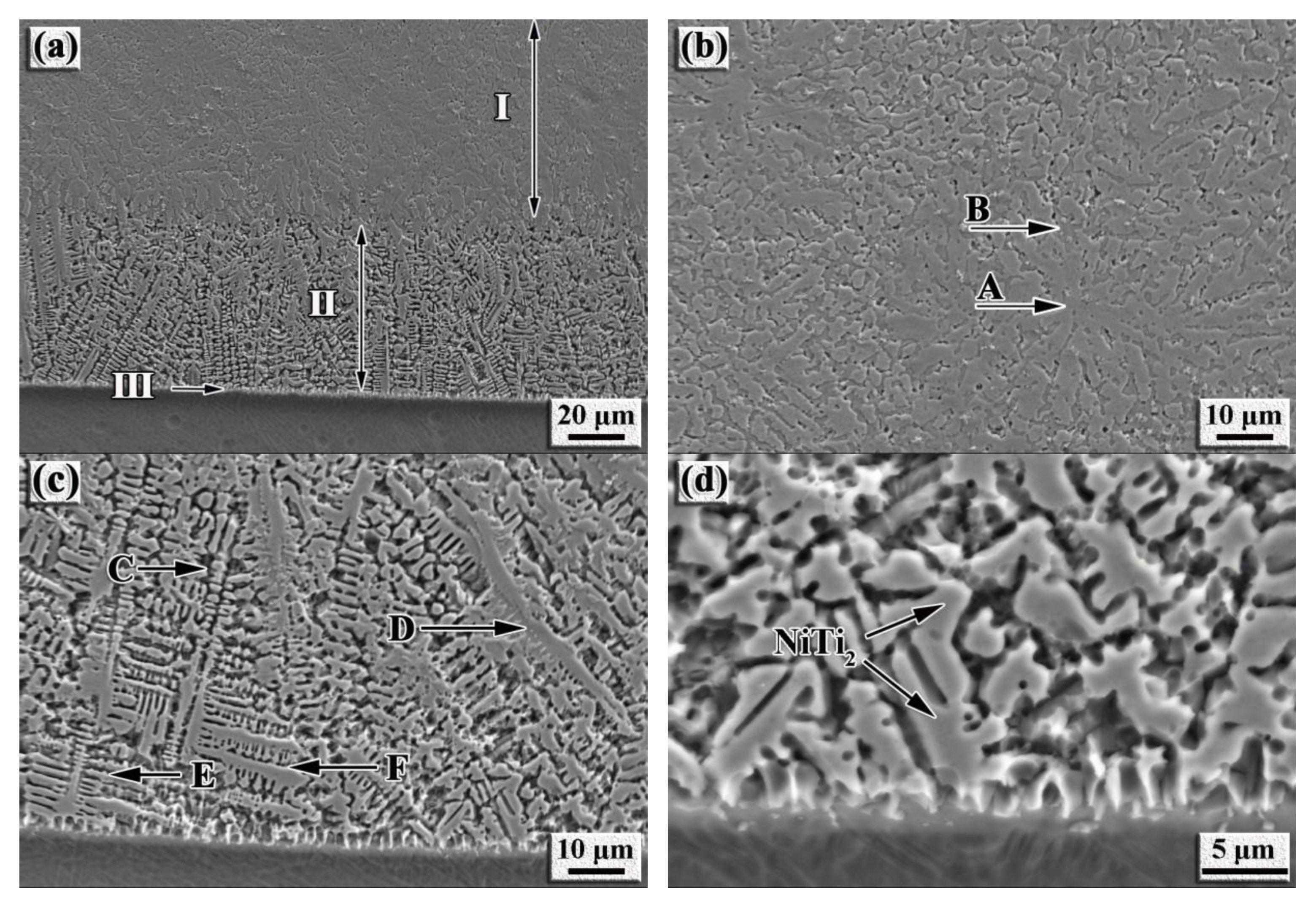 Nanomaterials 12 00705 g003