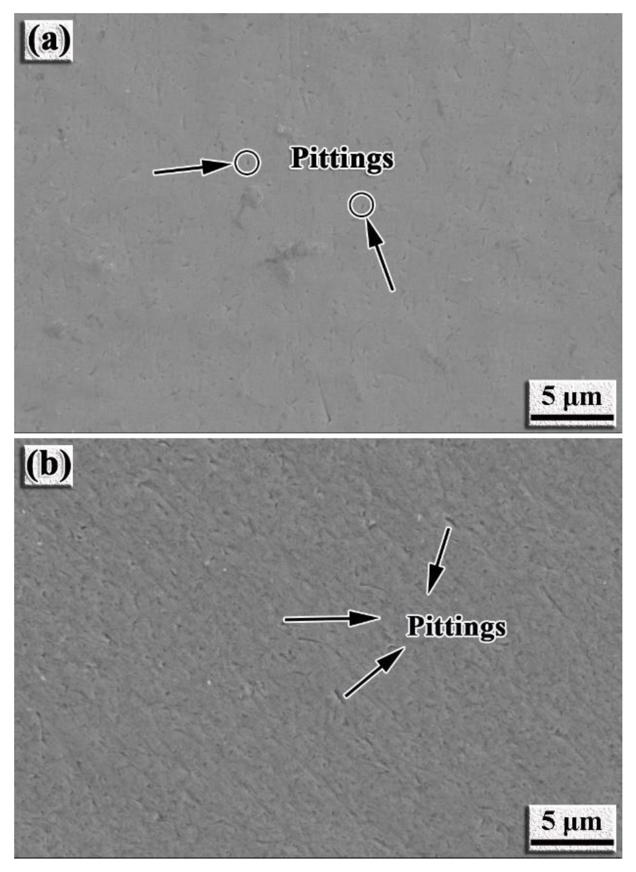 Nanomaterials 12 00705 g010
