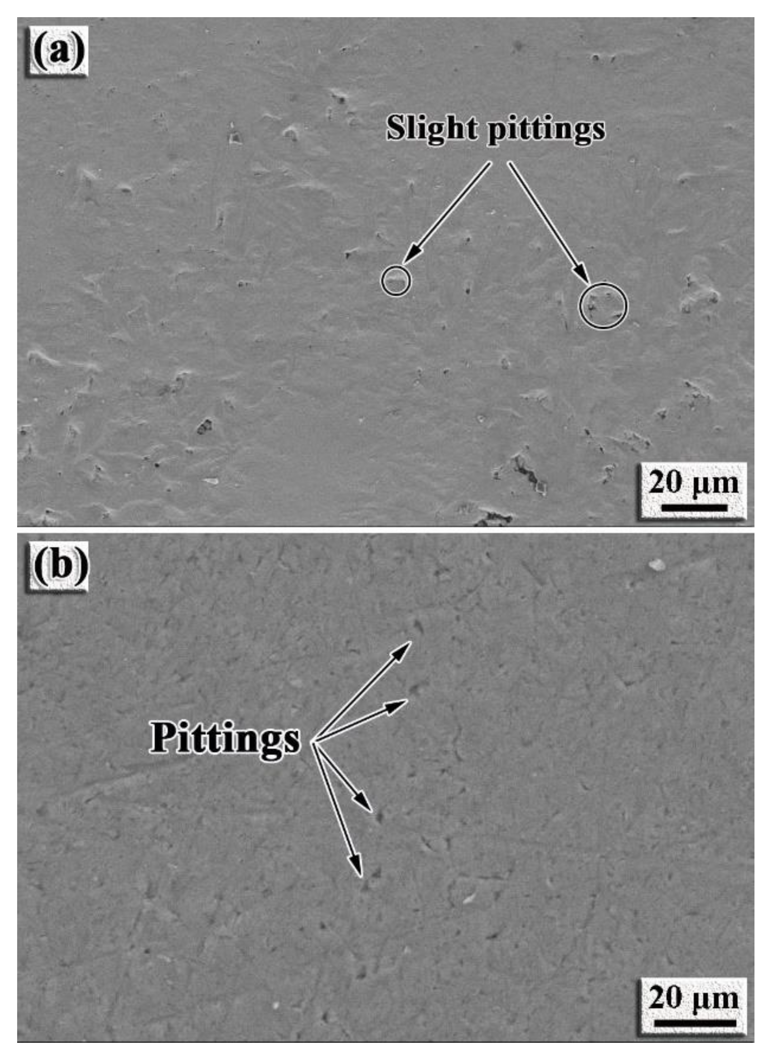 Nanomaterials 12 00705 g011