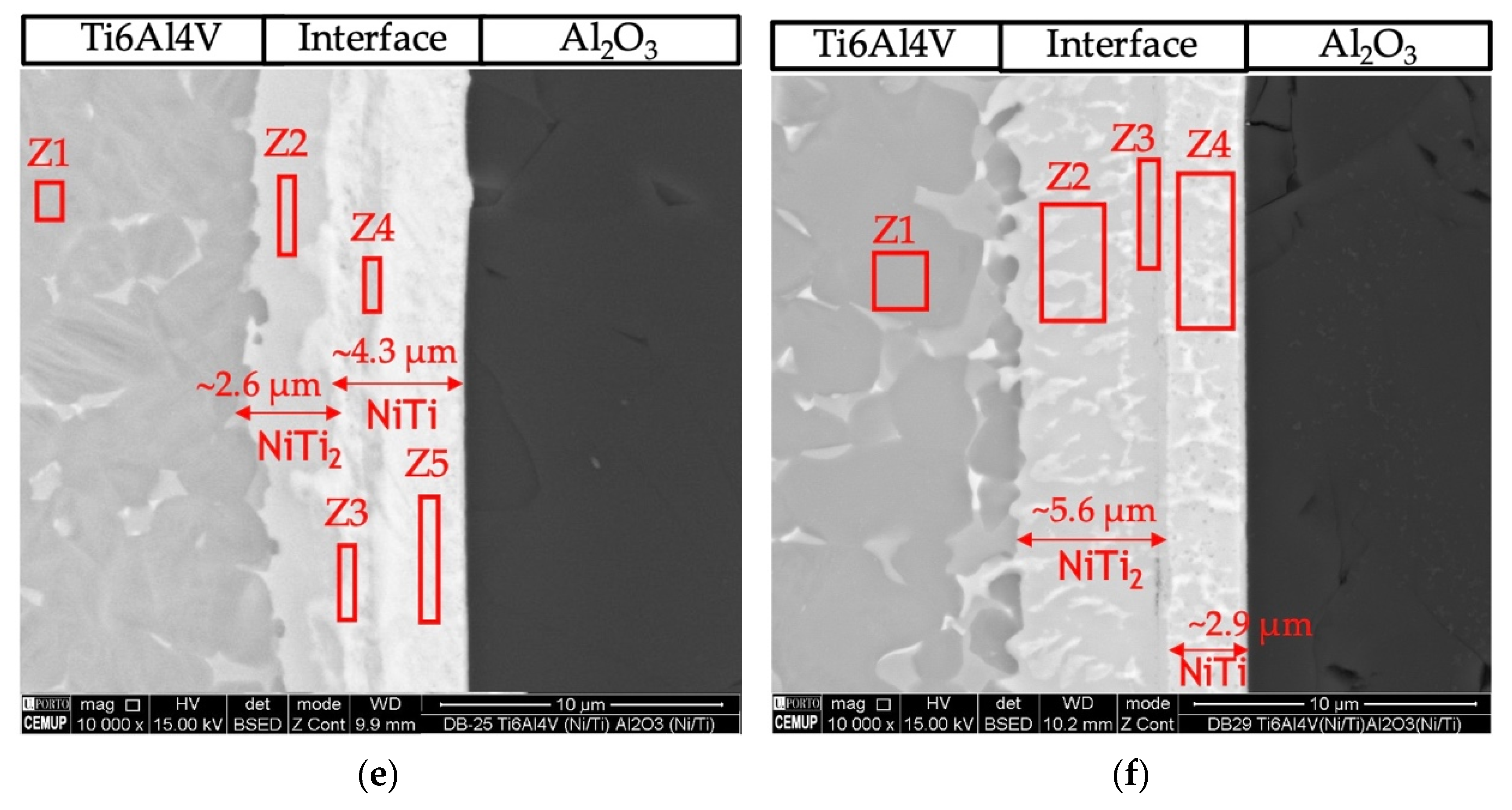 Nanomaterials 12 00706 g004b