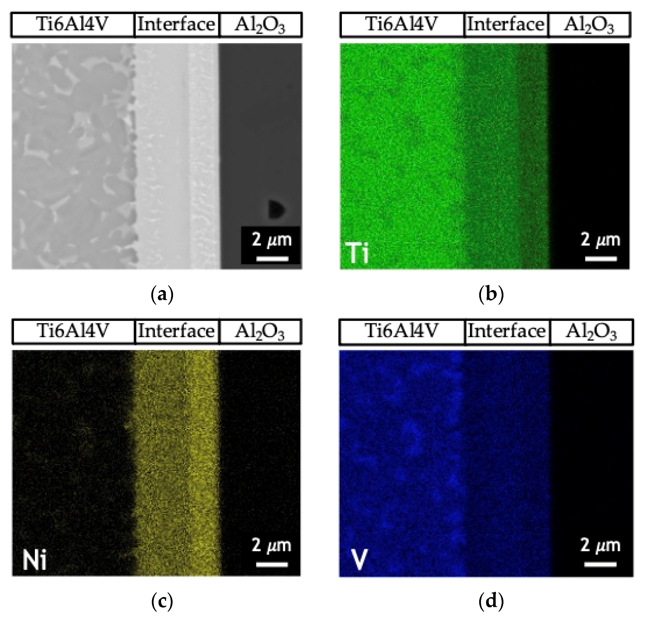 Nanomaterials 12 00706 g006