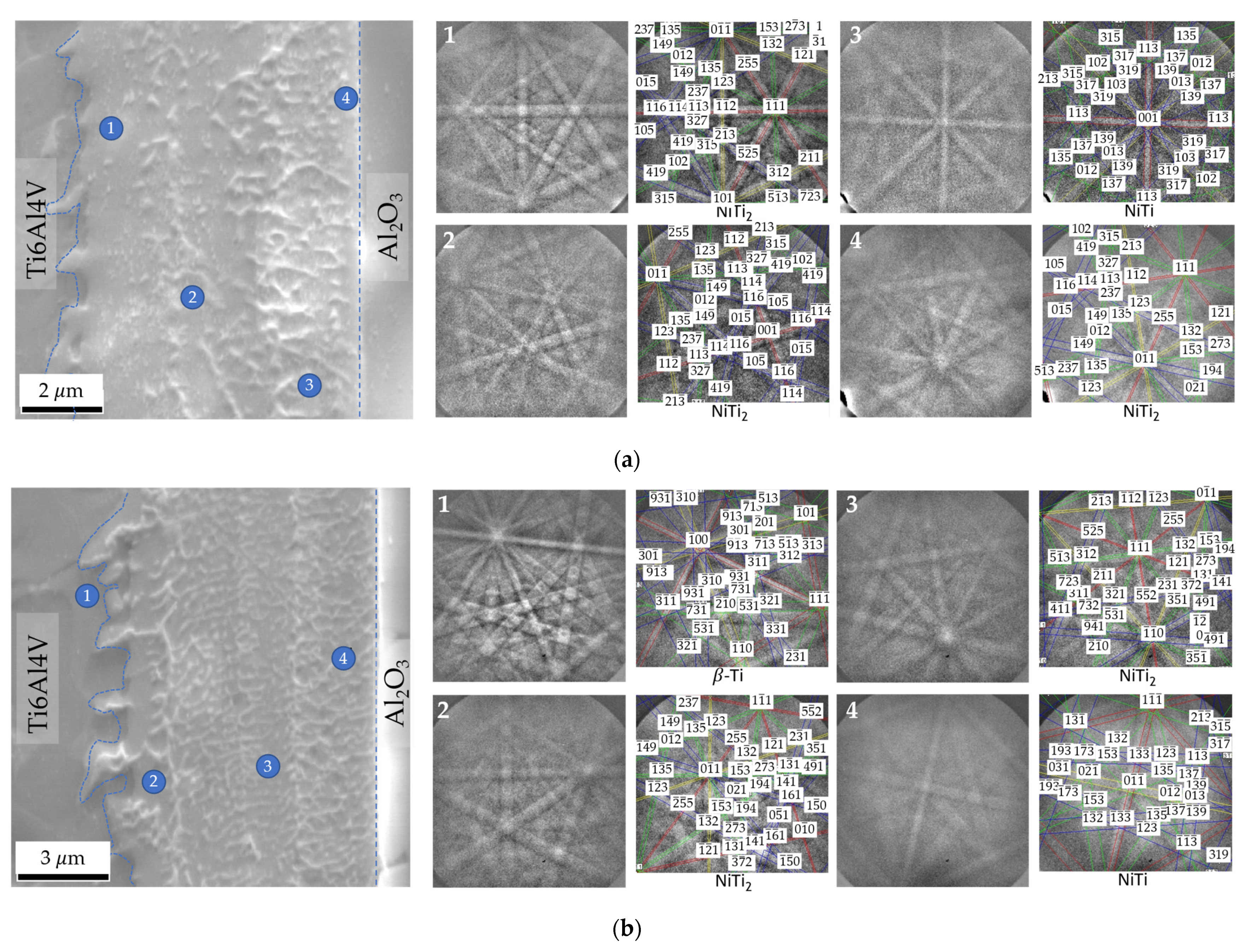 Nanomaterials 12 00706 g007