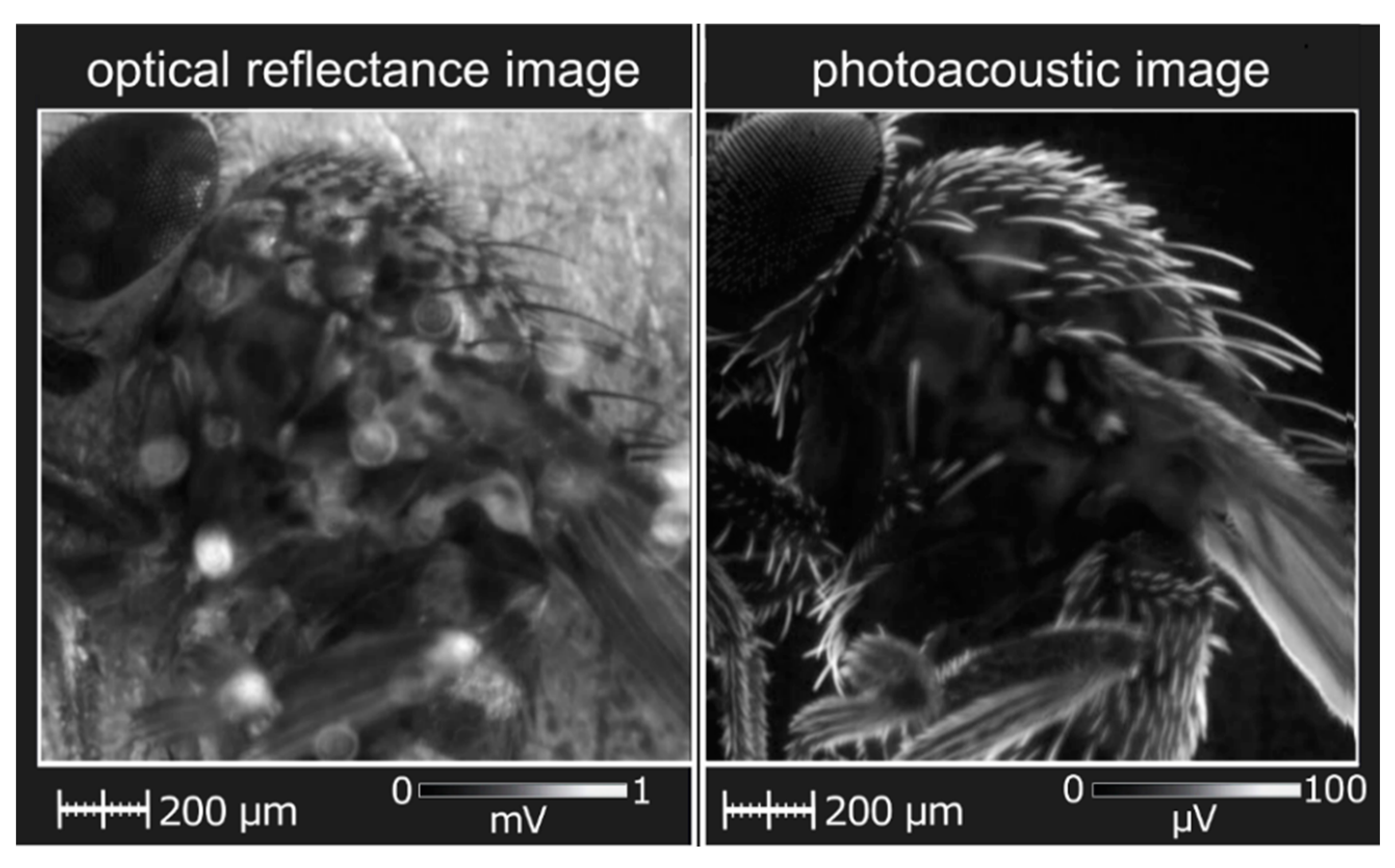 Nanomaterials 12 00708 g009