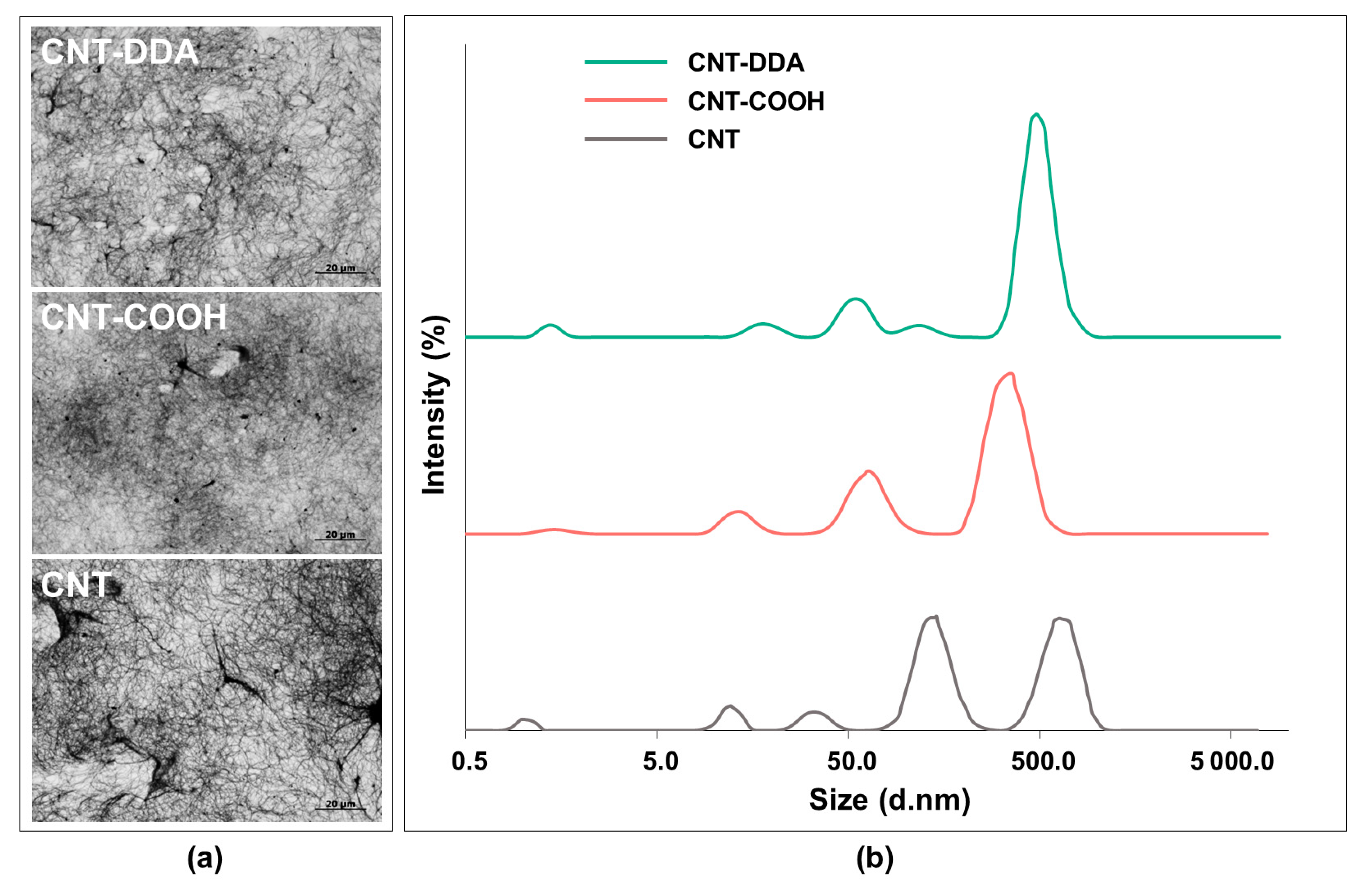 Nanomaterials 12 00733 g002