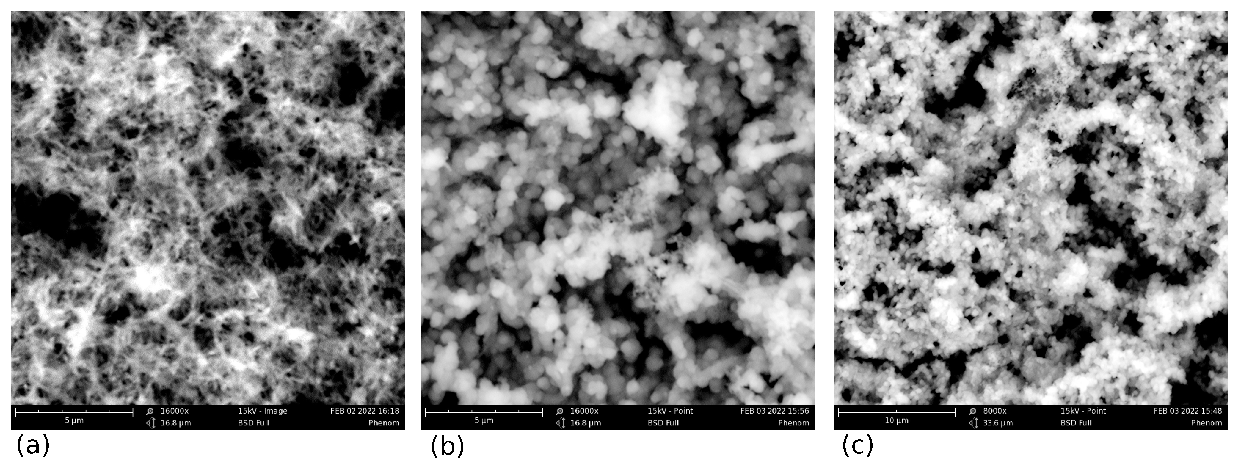 Nanomaterials 12 00739 g002