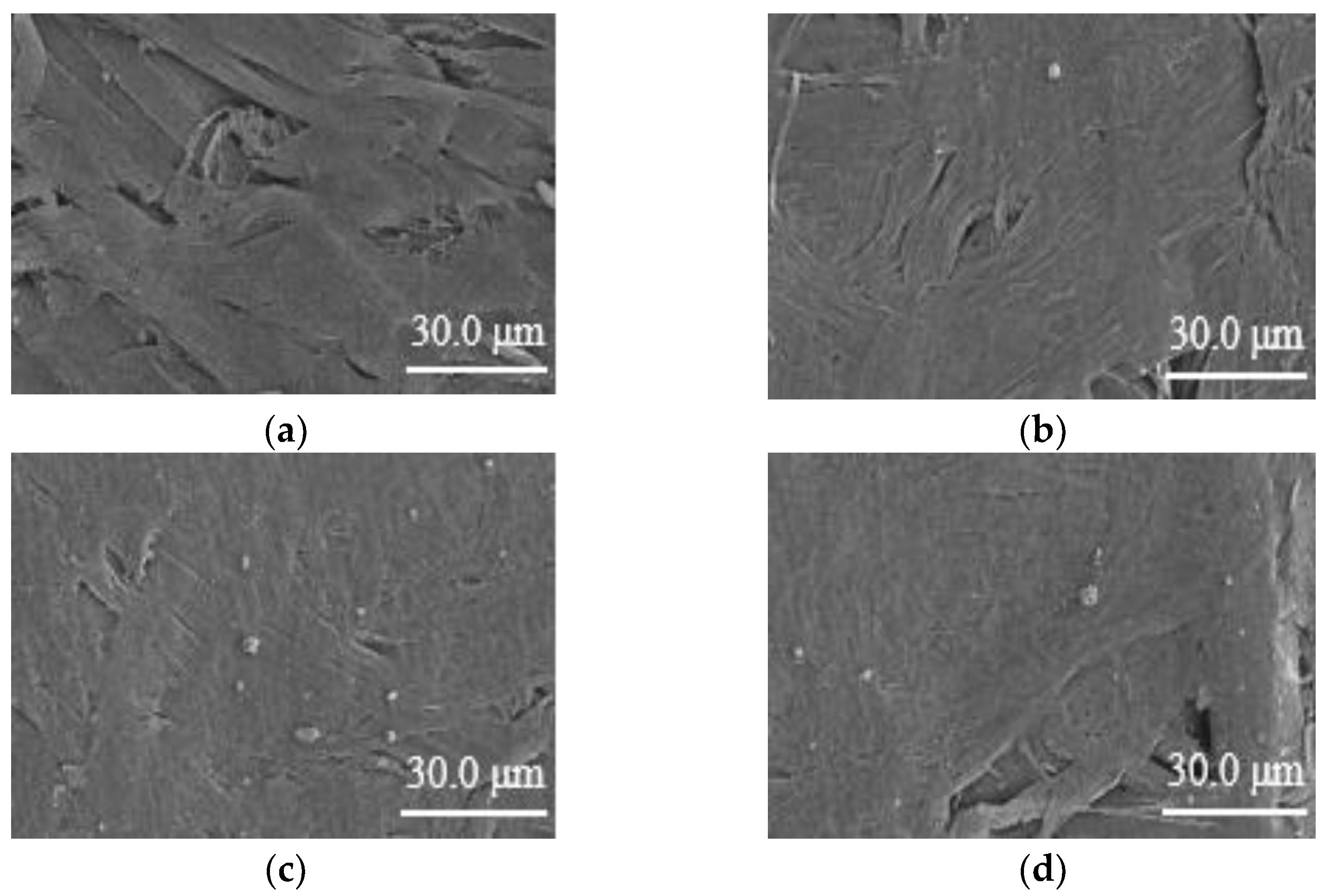 Nanomaterials 12 00748 g004