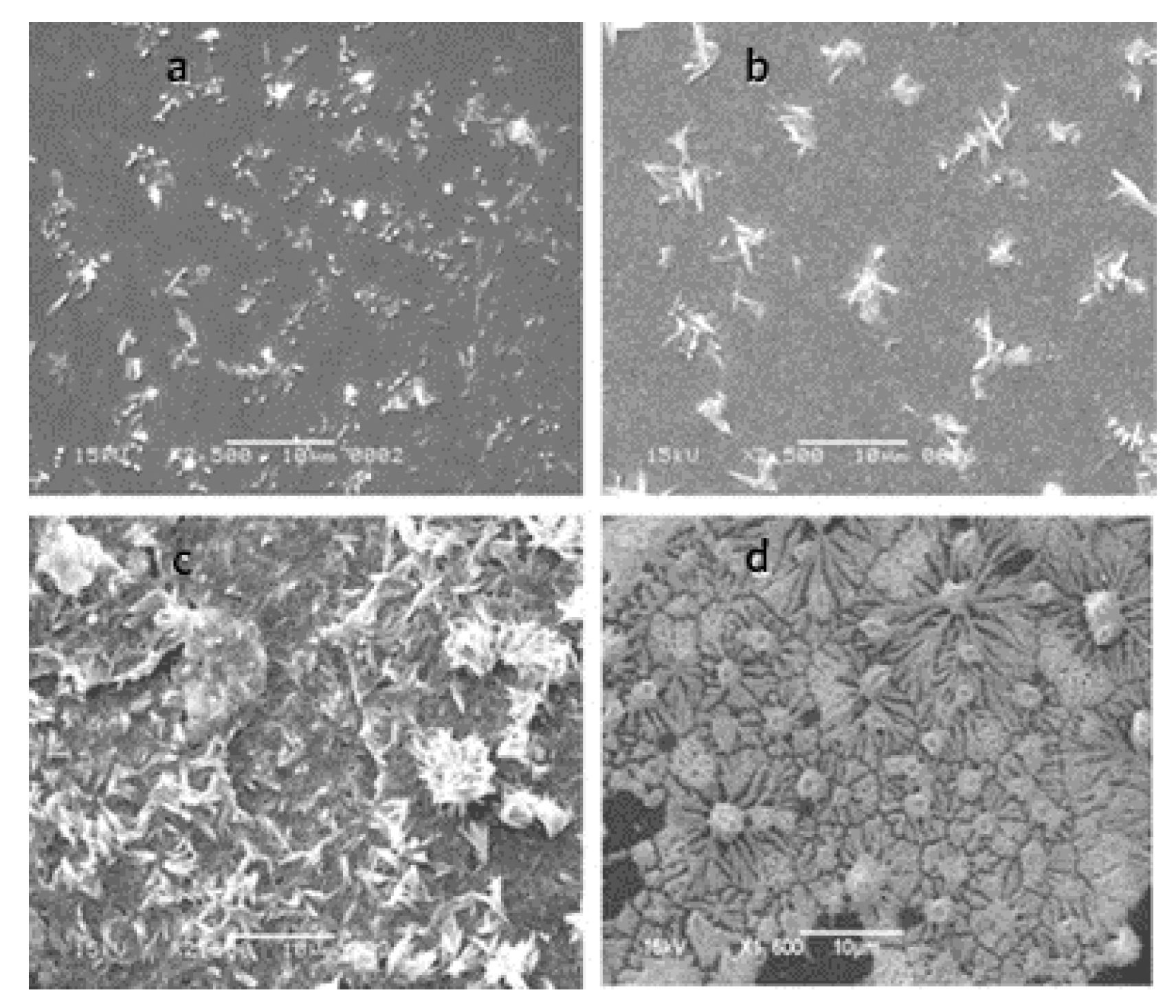 Nanomaterials 12 00781 g002