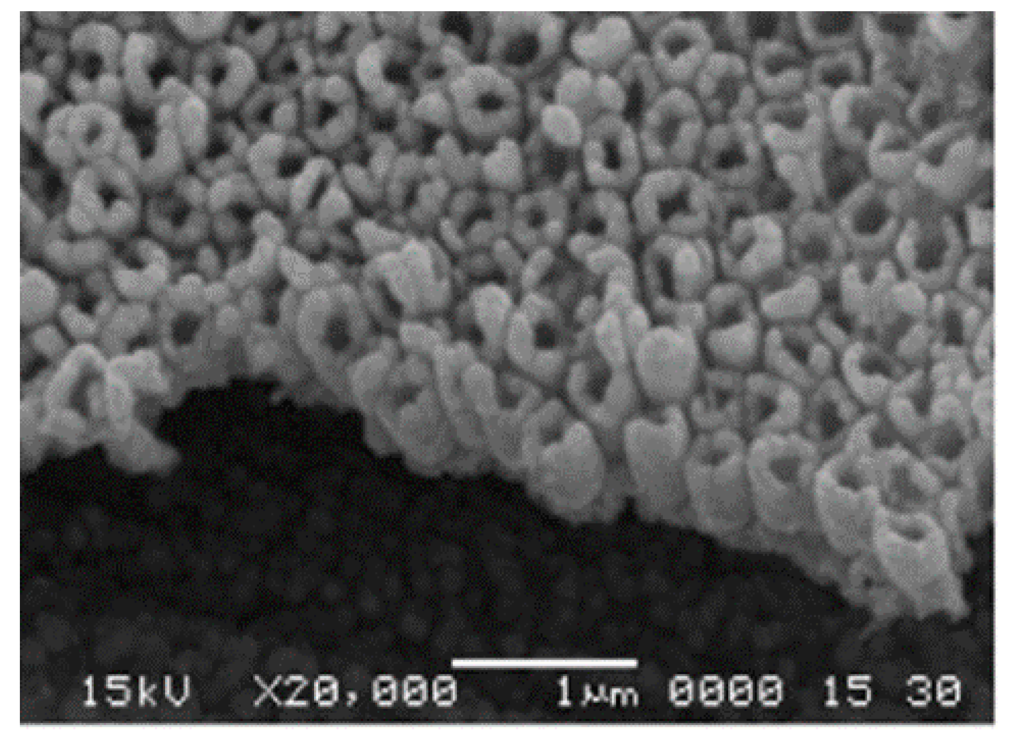 Nanomaterials 12 00781 g009