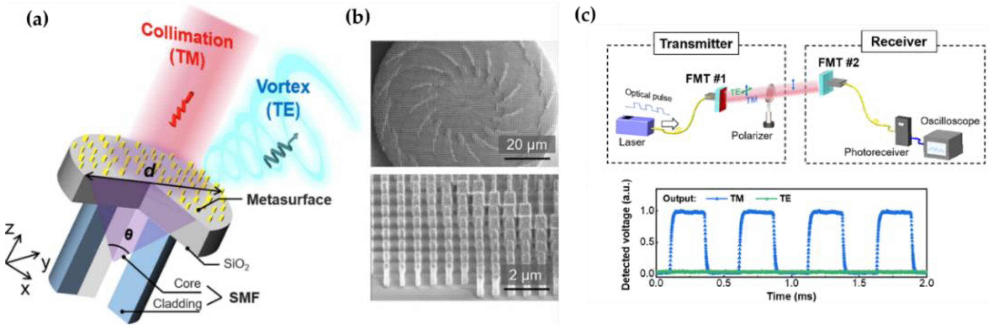 Optical fiber meta-tips  Light: Science & Applications