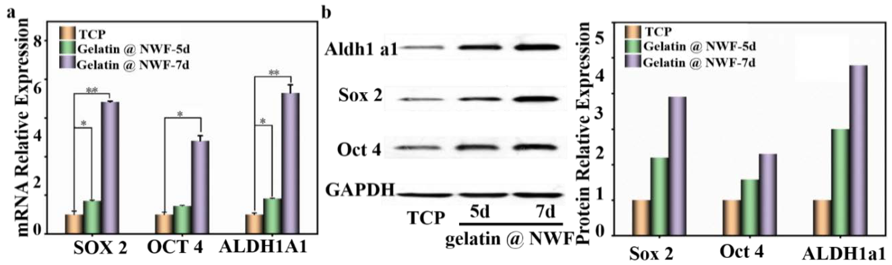 Nanomaterials 12 00808 g005