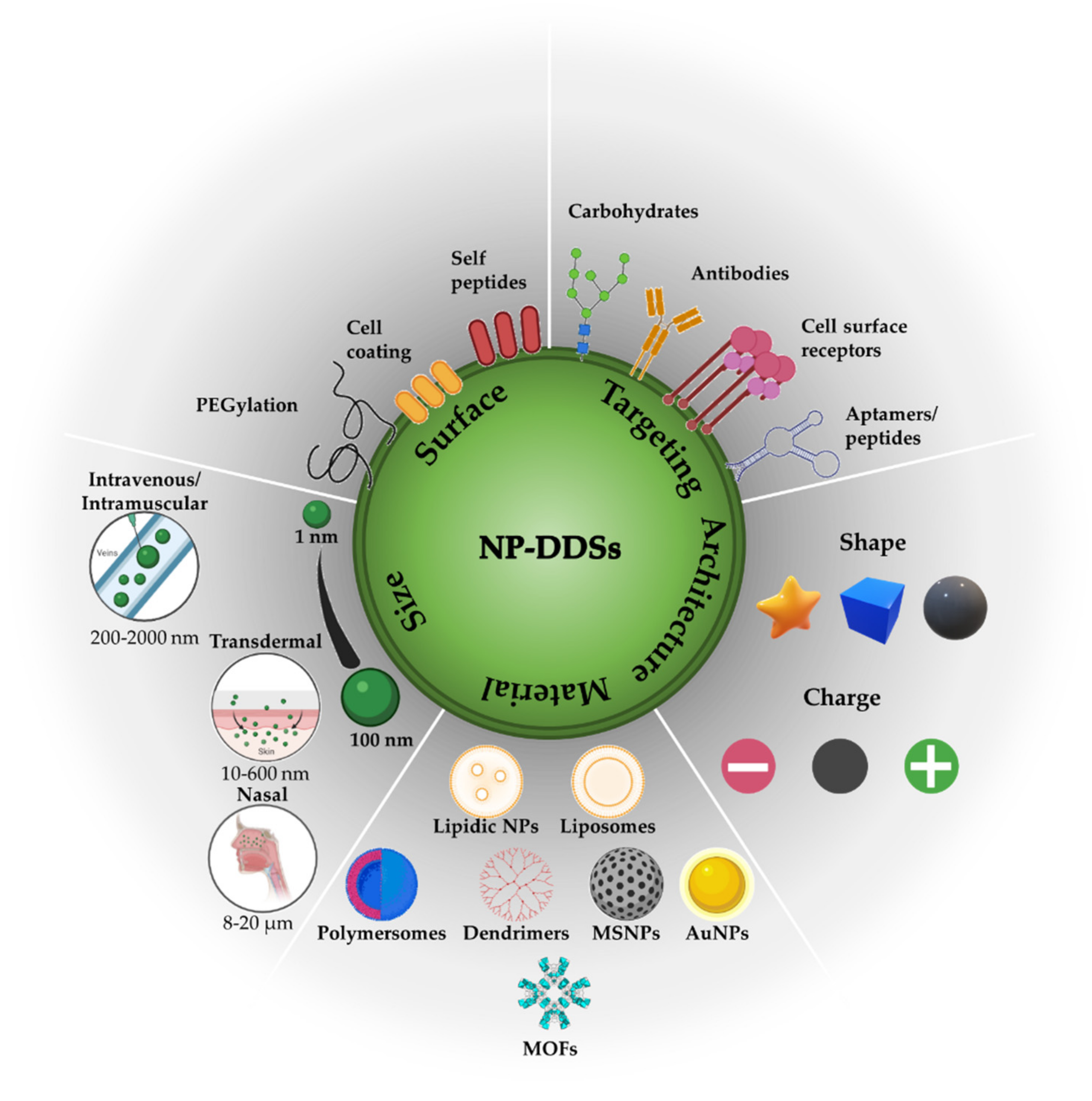 Nanomaterials 12 00836 g001