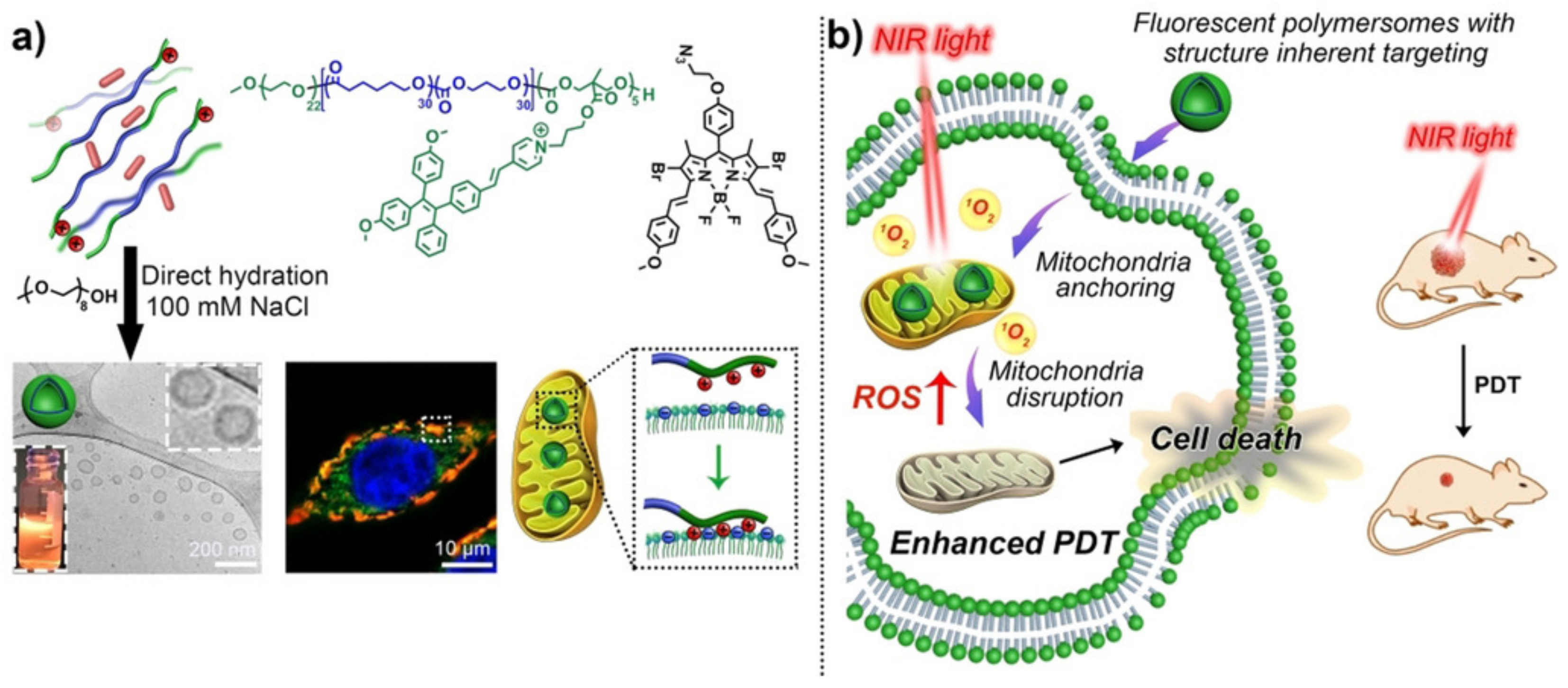 Nanomaterials 12 00836 g008