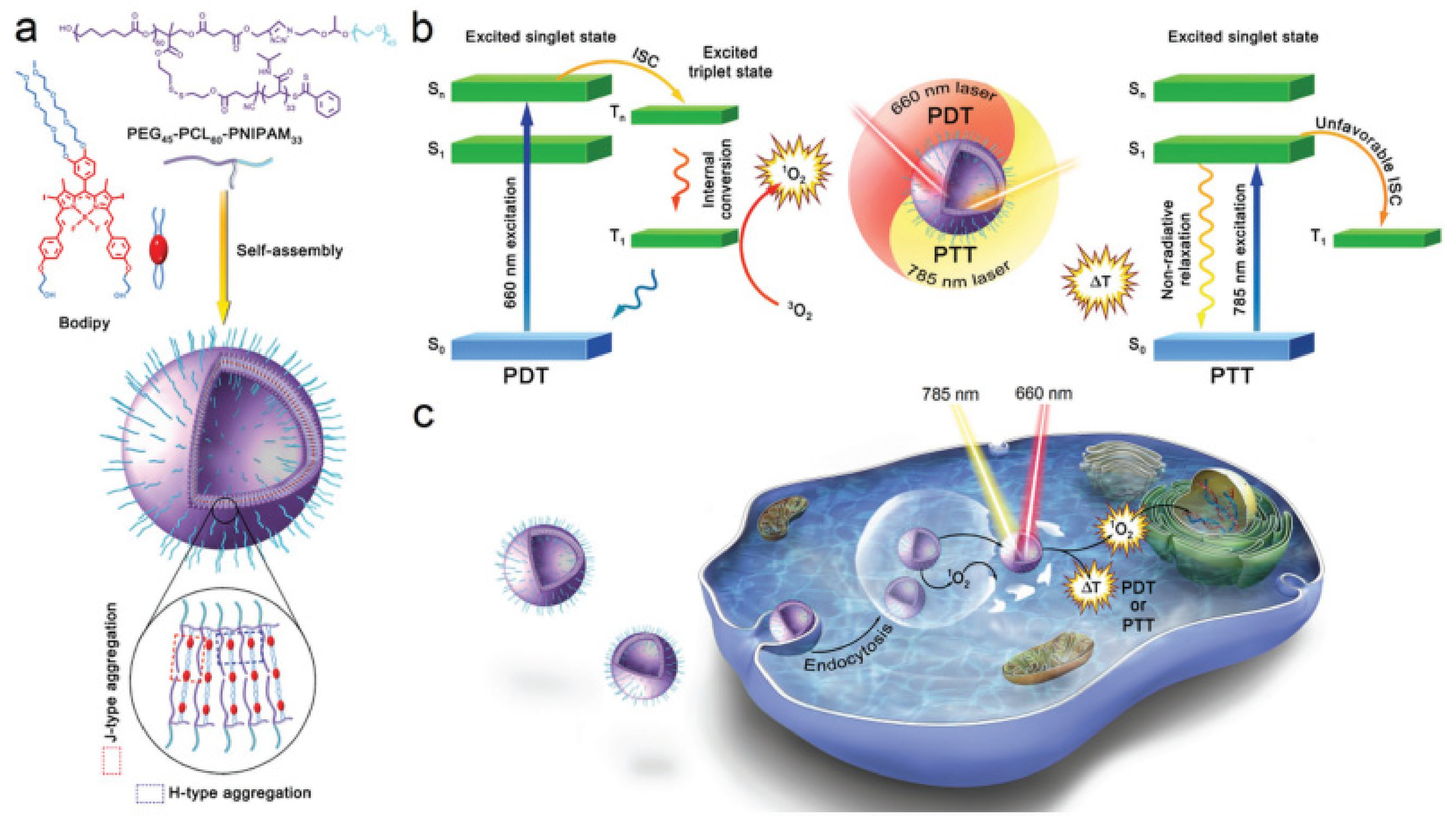 Nanomaterials 12 00836 g011
