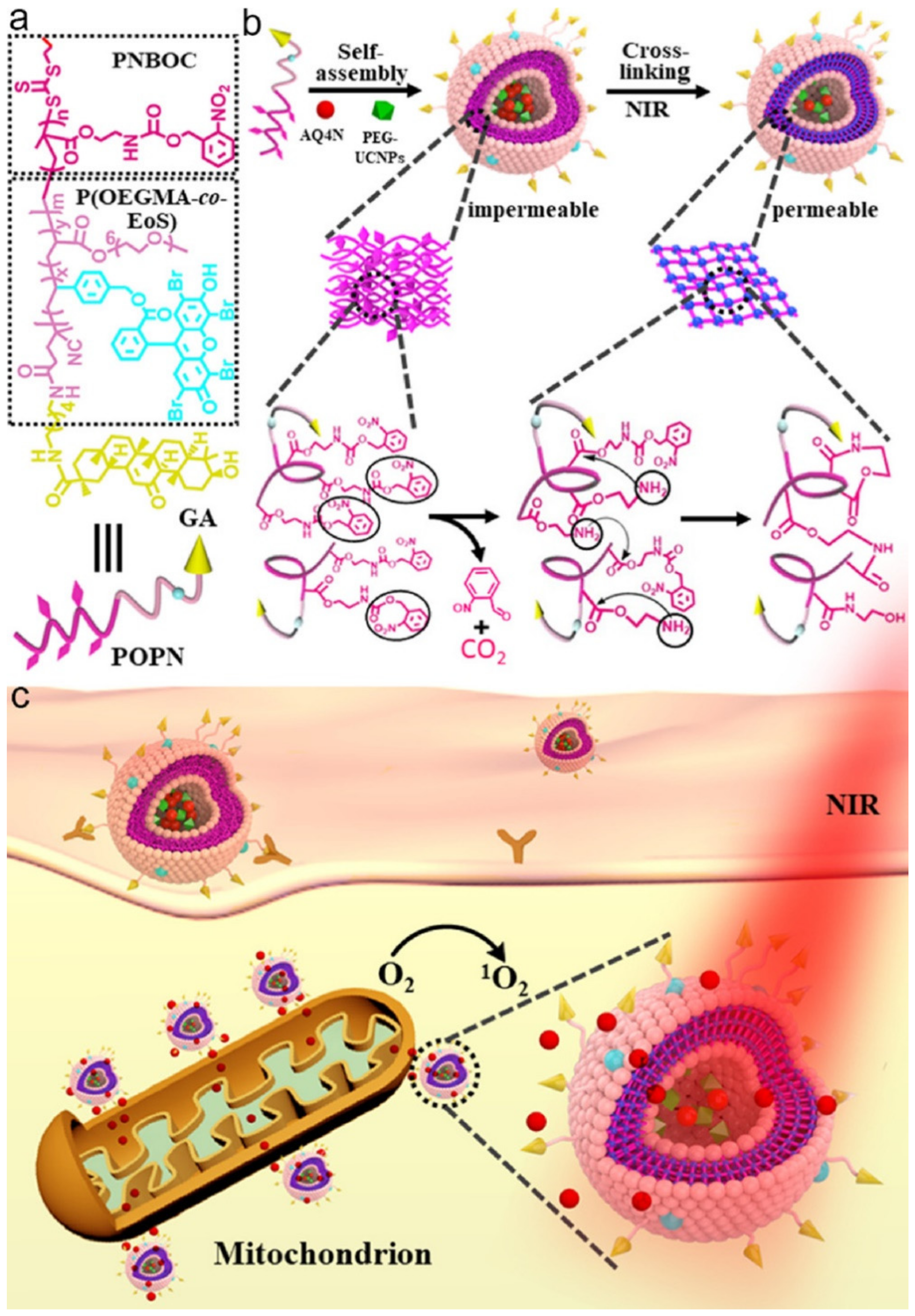 Nanomaterials 12 00836 g012