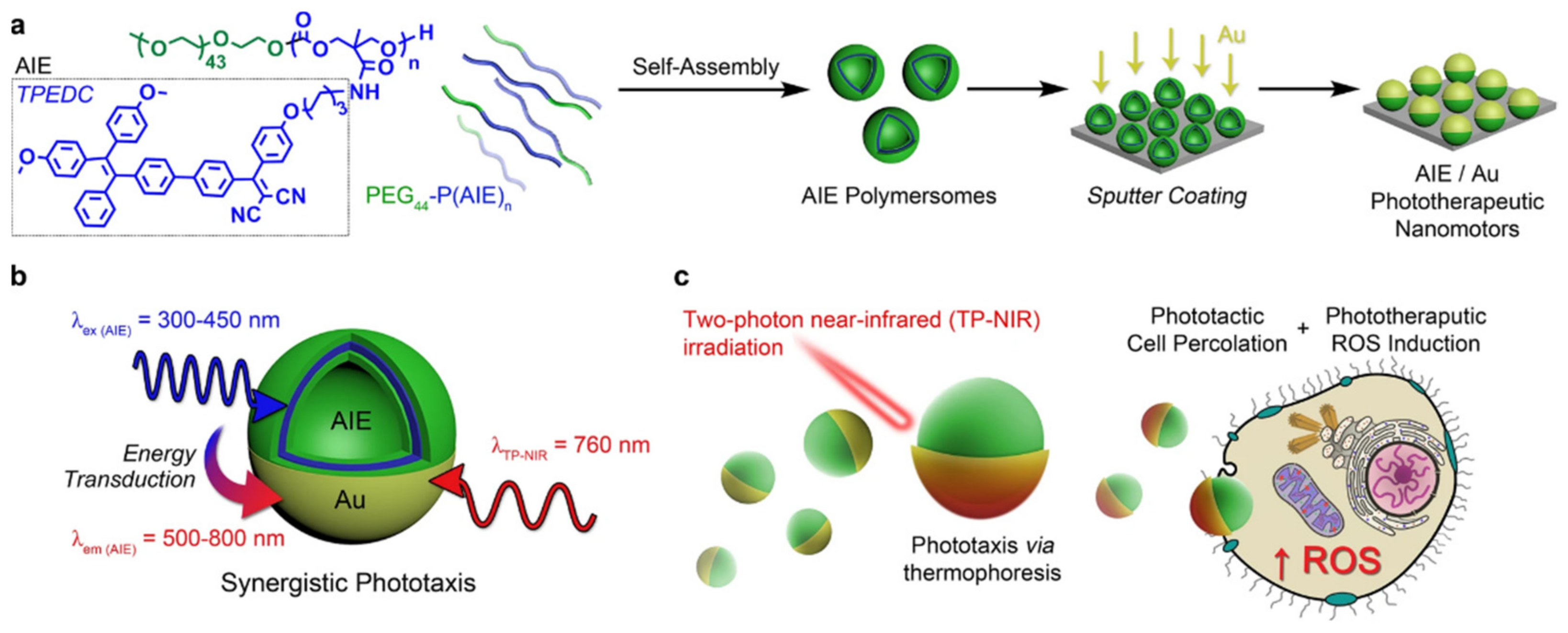 Nanomaterials 12 00836 g013