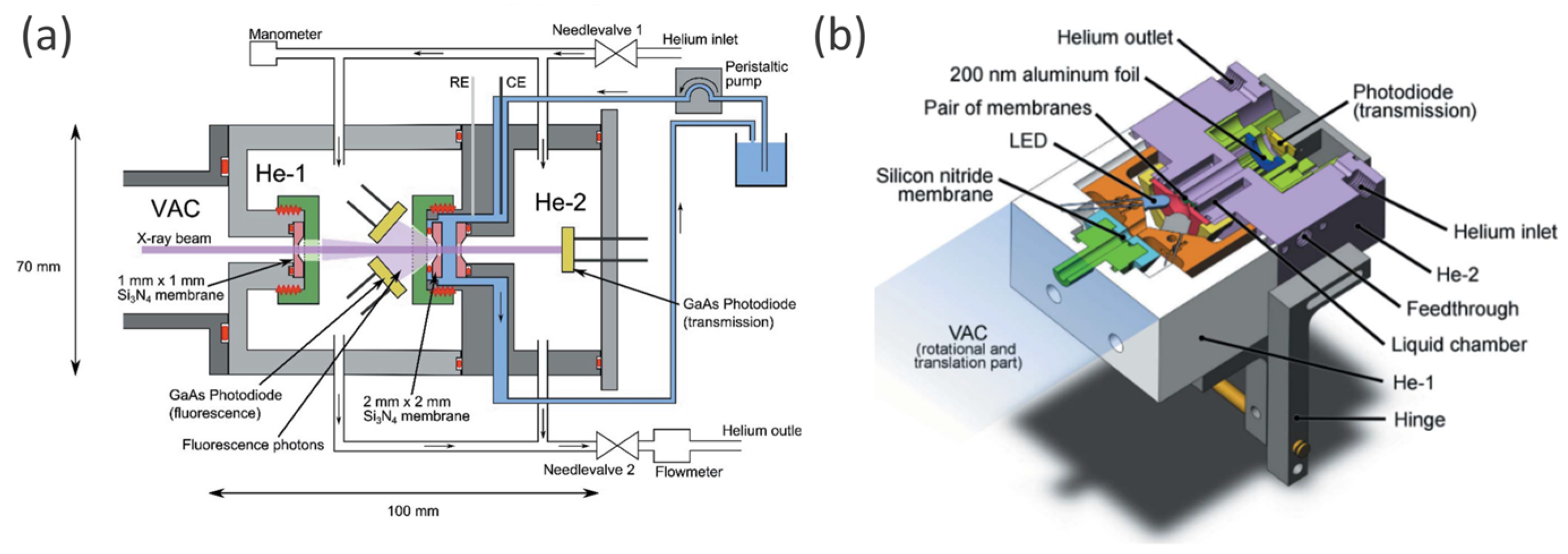 Nanomaterials 12 00839 g008