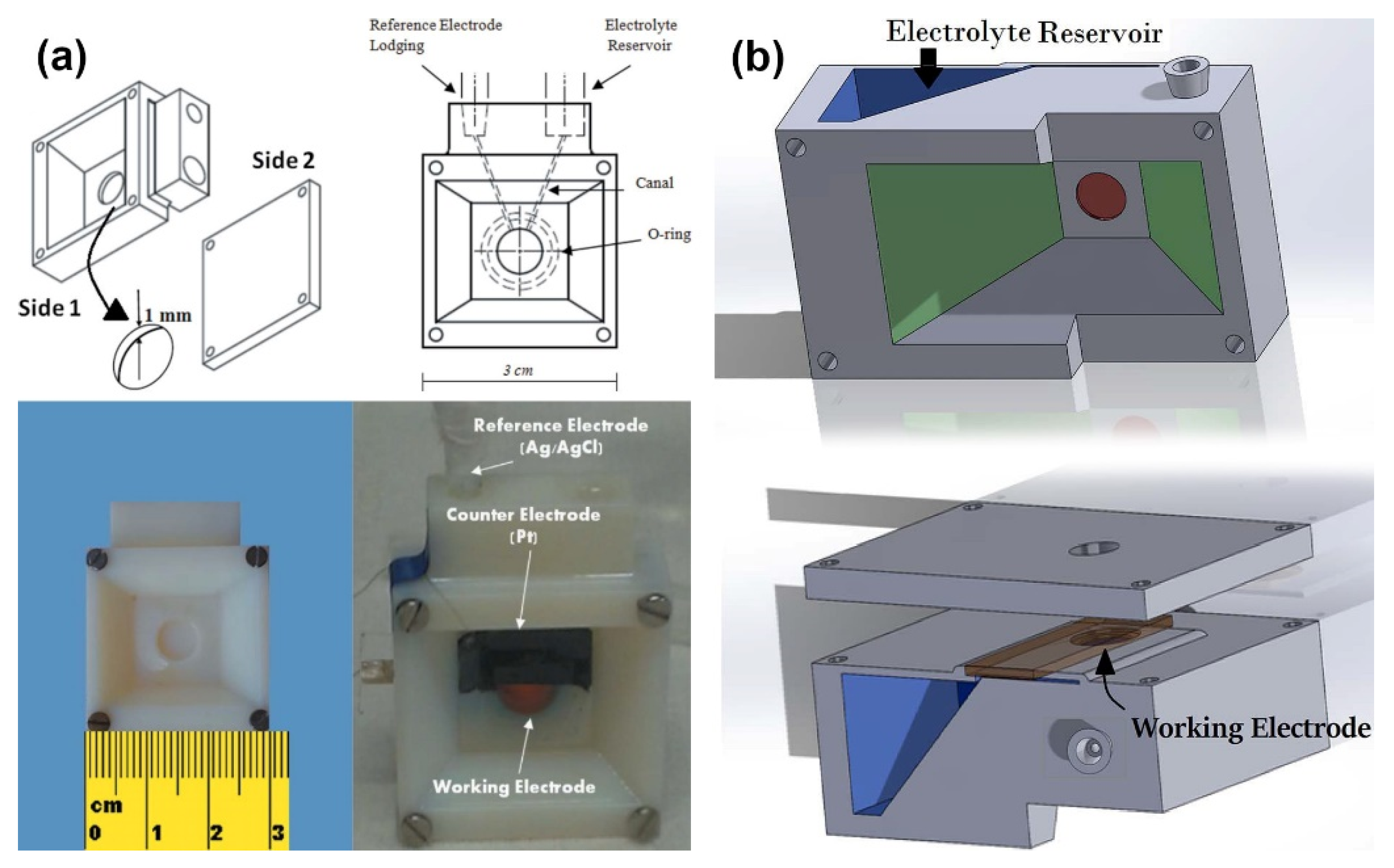 Nanomaterials 12 00839 g009