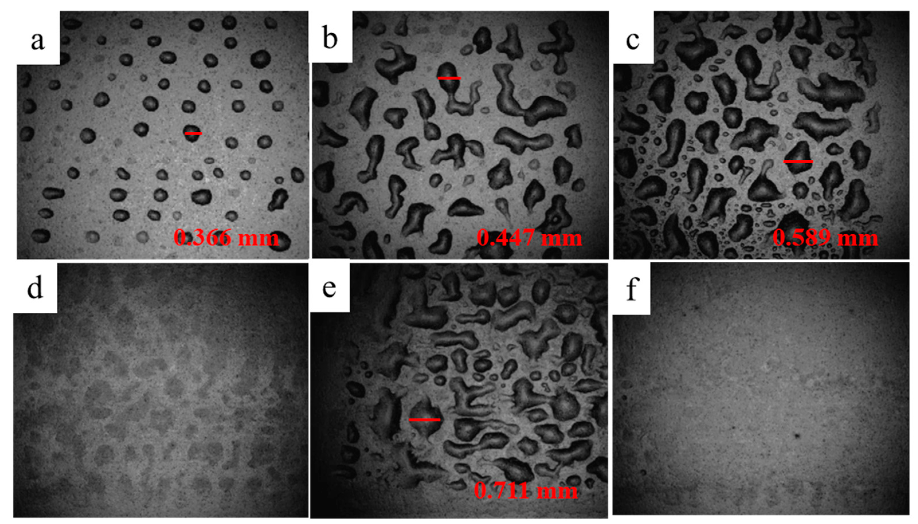 Nanomaterials 12 00842 g003