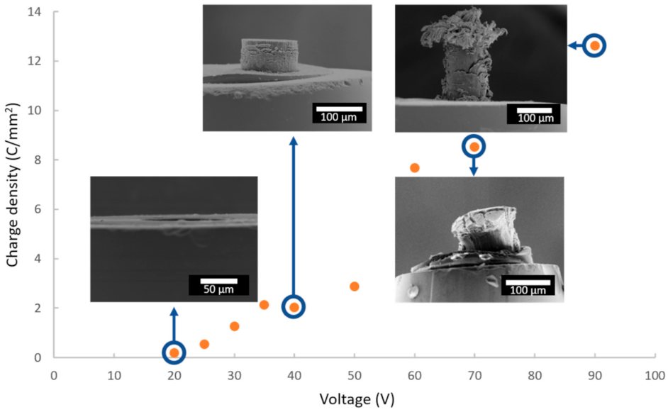 Nanomaterials 12 00845 g005
