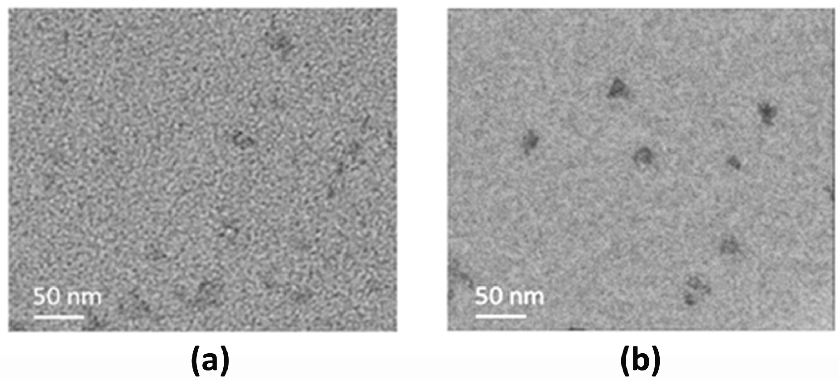 Nanomaterials 12 00885 g005