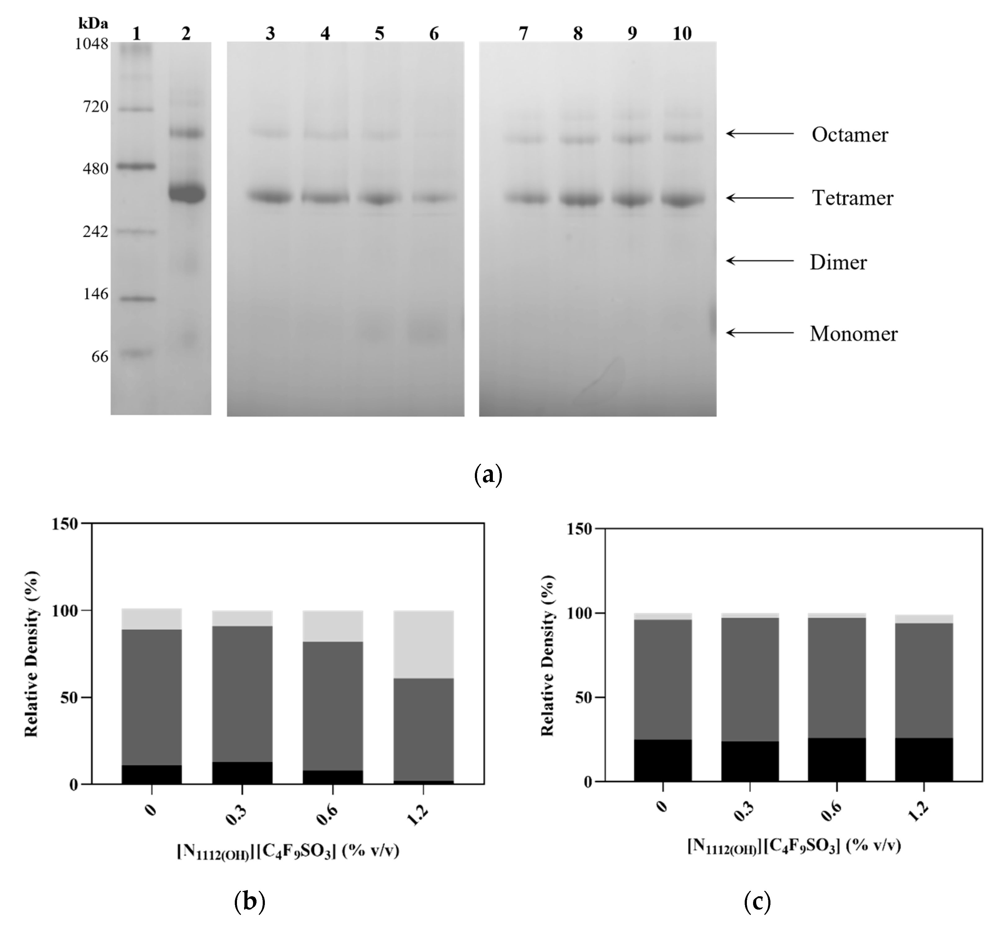 Nanomaterials 12 00893 g006a