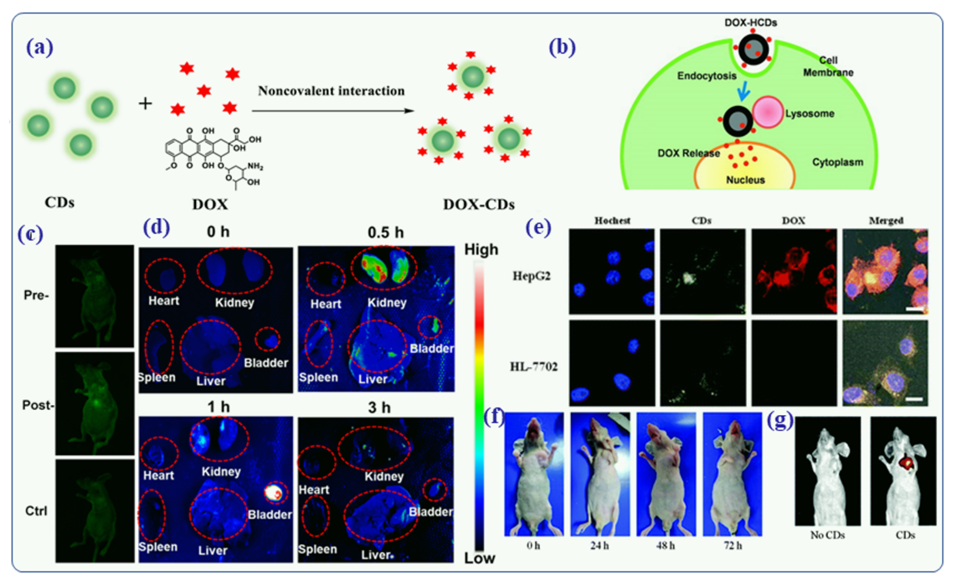 Nanomaterials 12 00898 g012 Nanomaterials 12 00898 g012