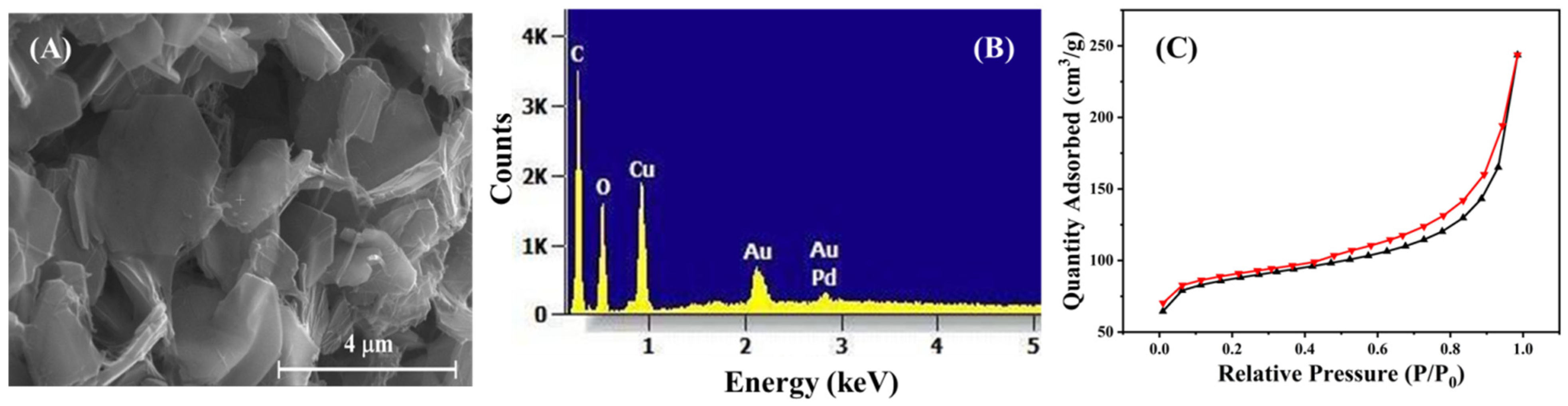Nanomaterials 12 00913 g003