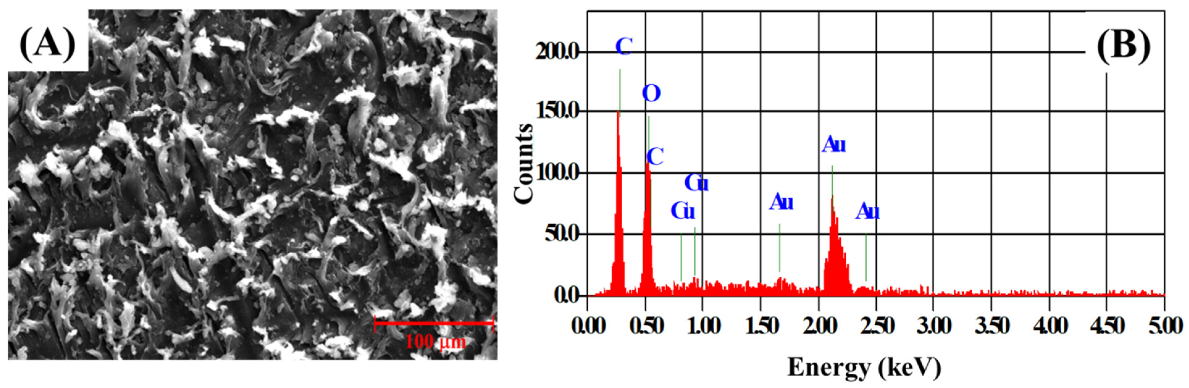 Nanomaterials 12 00913 g005