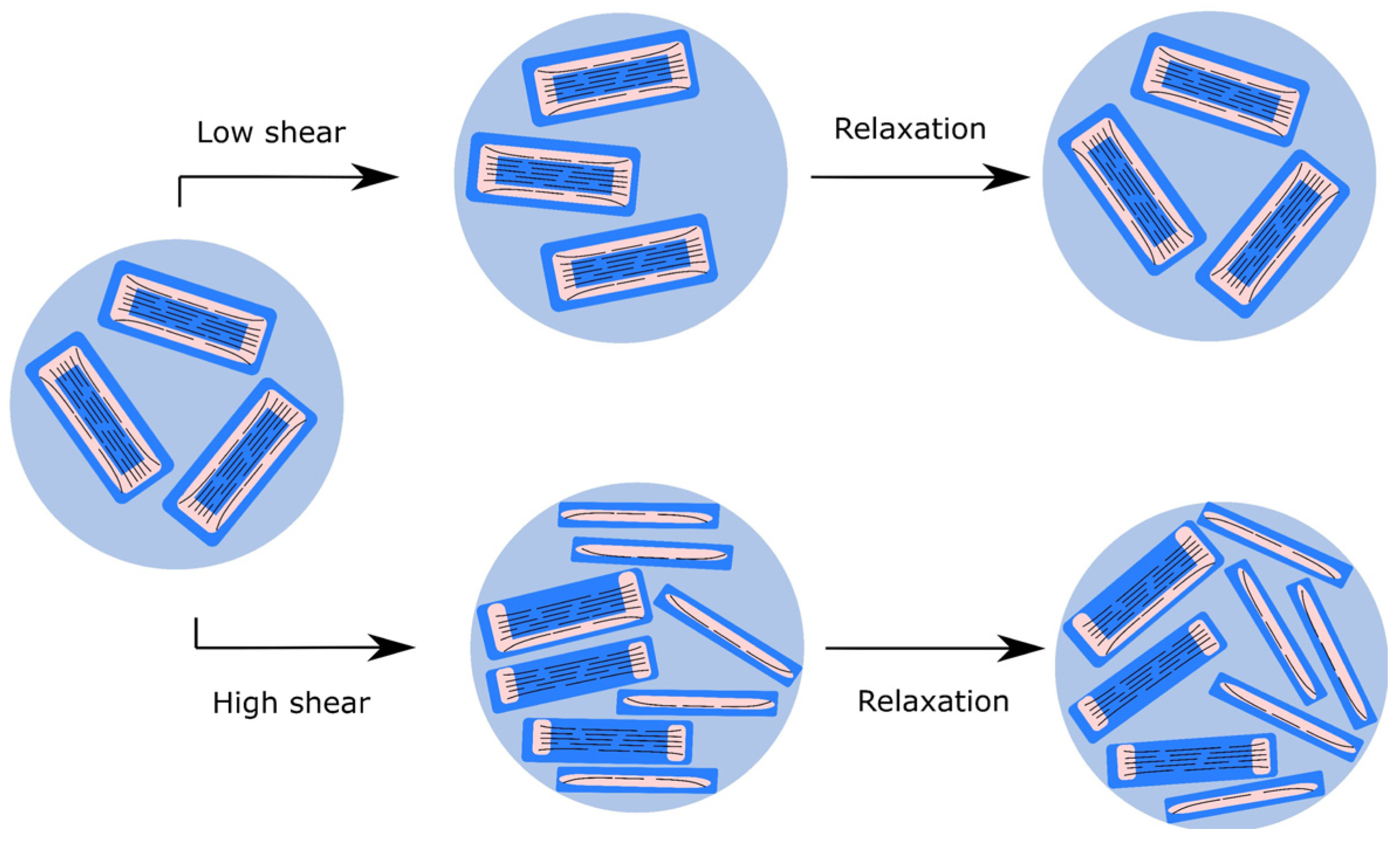 Nanomaterials 12 00916 g009