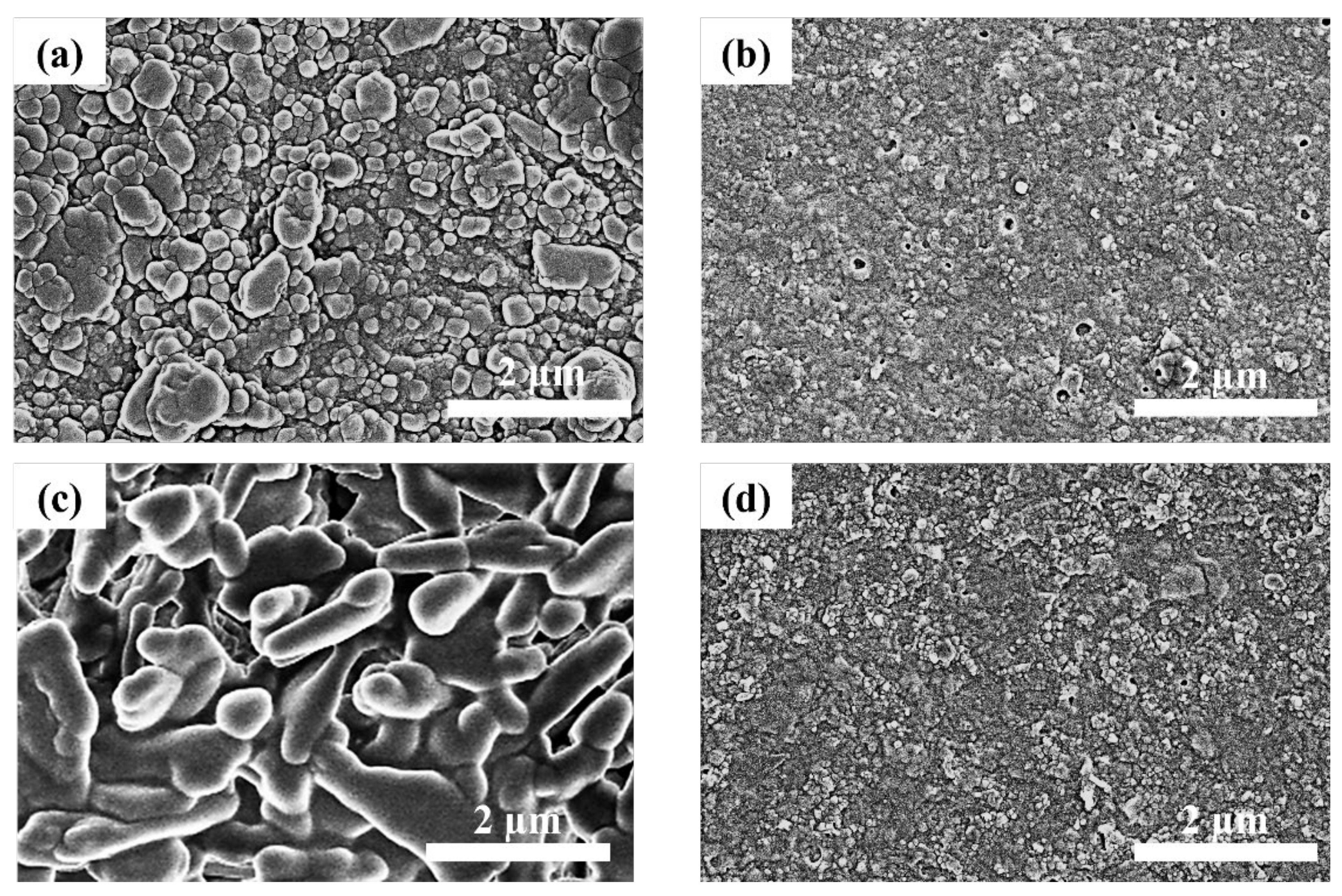 Nanomaterials 12 00920 g007