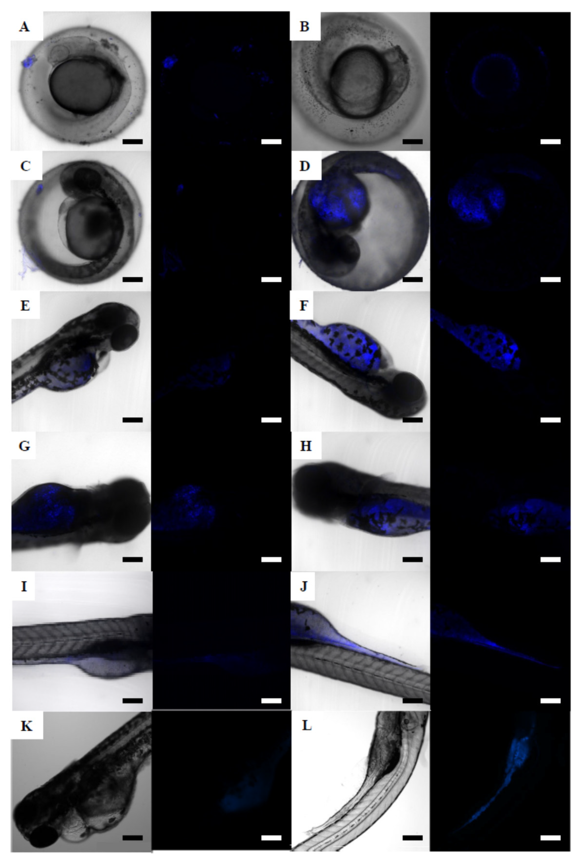 Nanomaterials 12 00941 g006 Nanomaterials 12 00941 g006