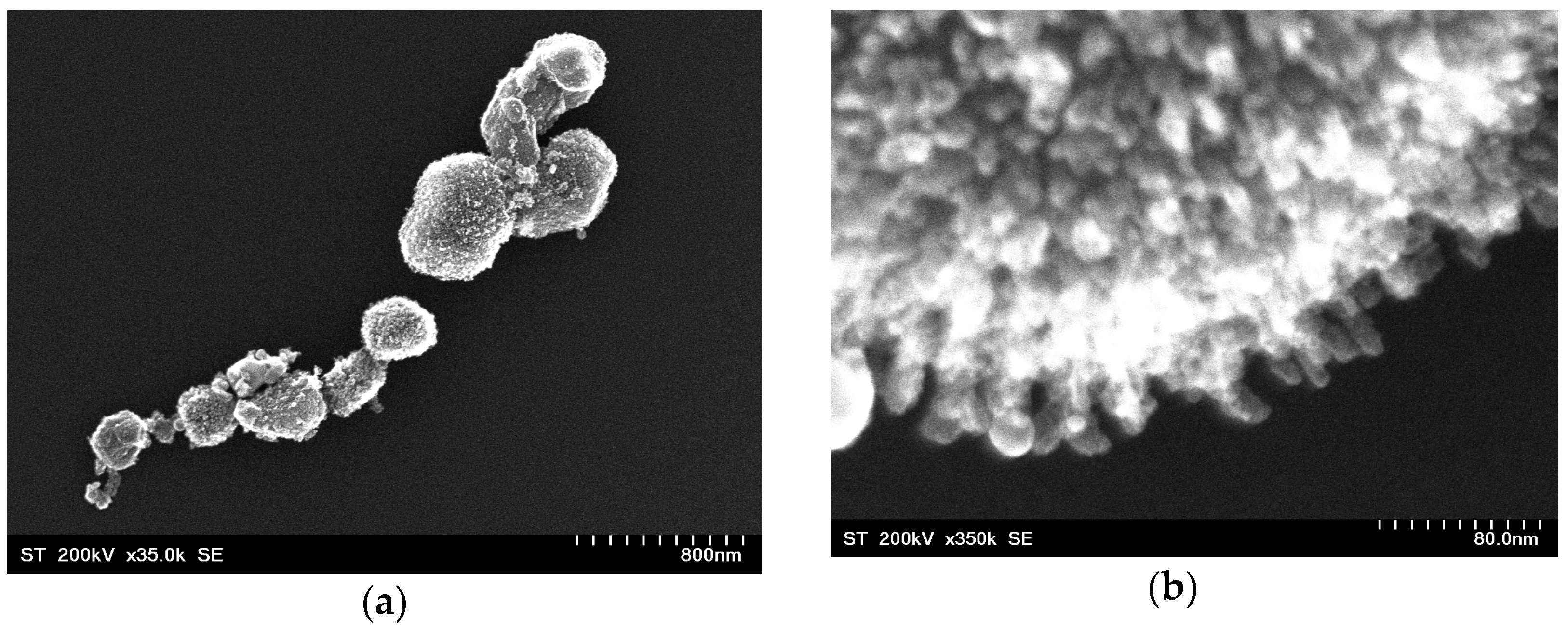 Nanomaterials 12 00942 g004