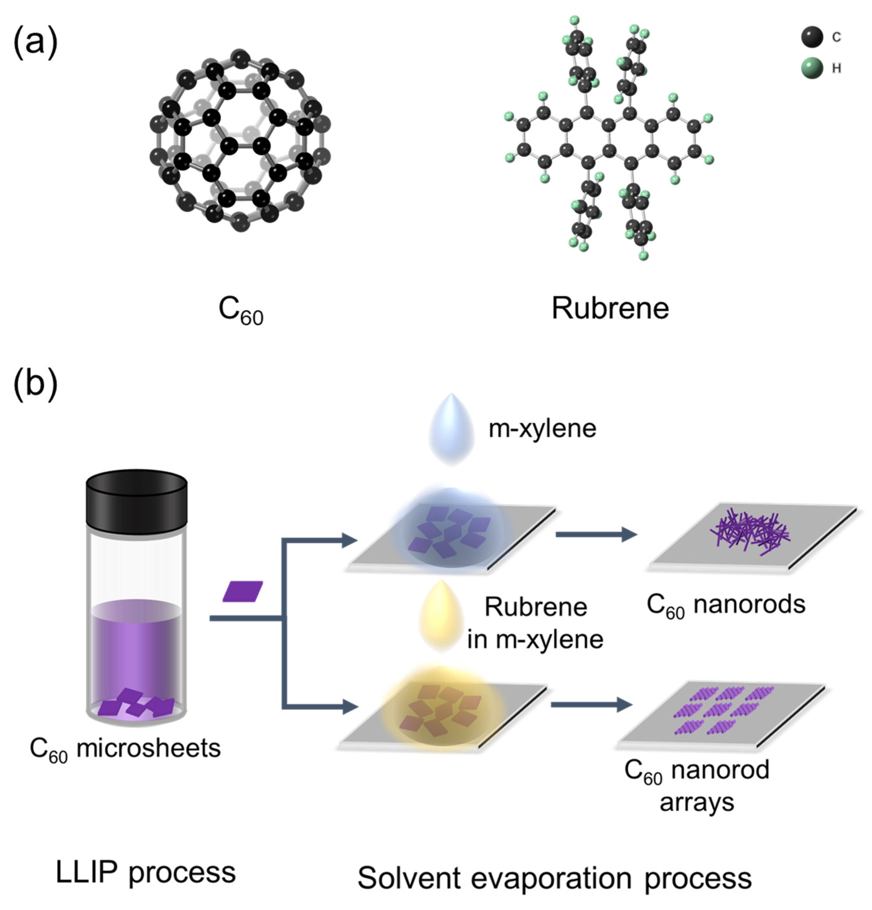 Nanomaterials 12 00954 g001