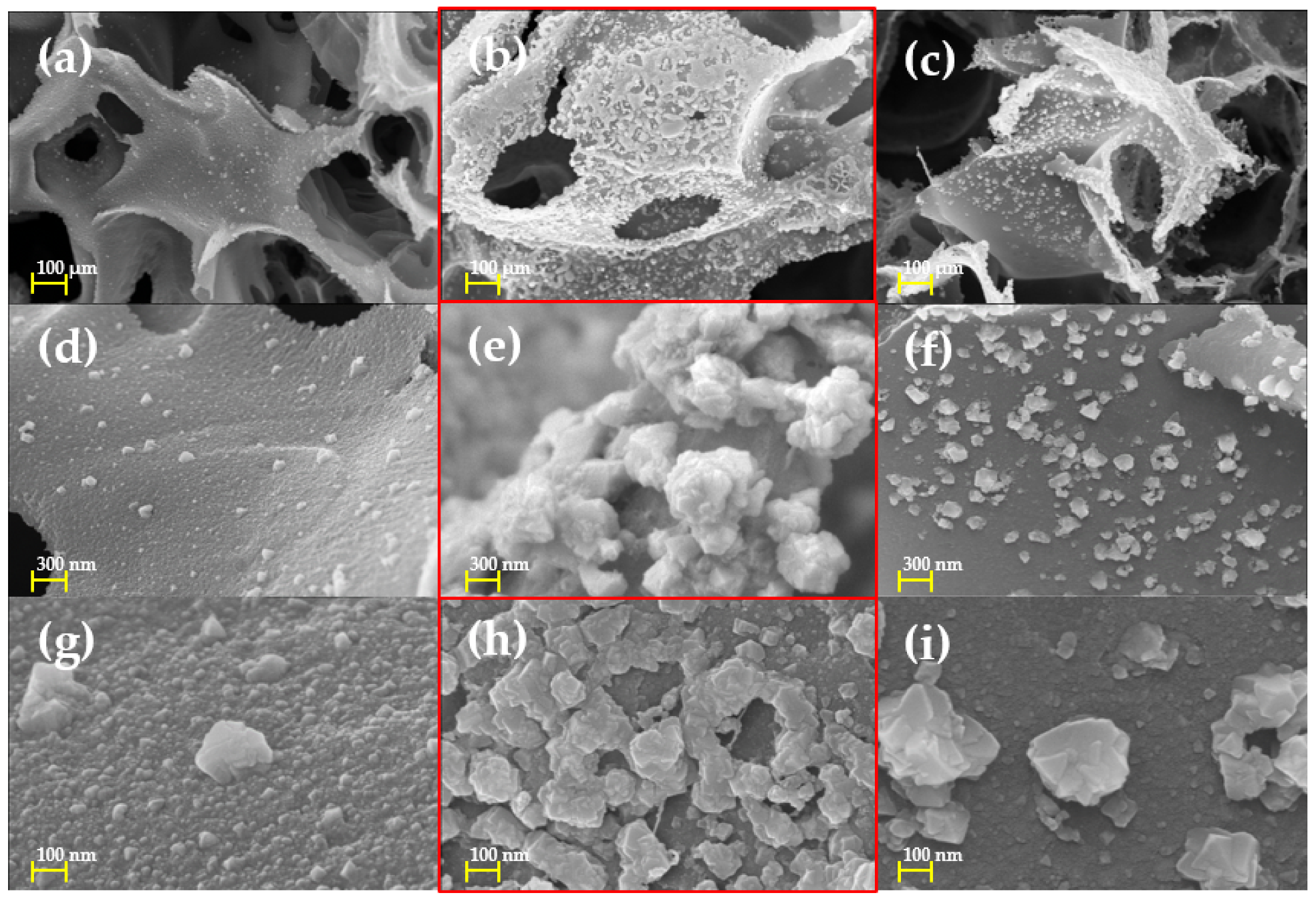 Nanomaterials 12 00960 g002