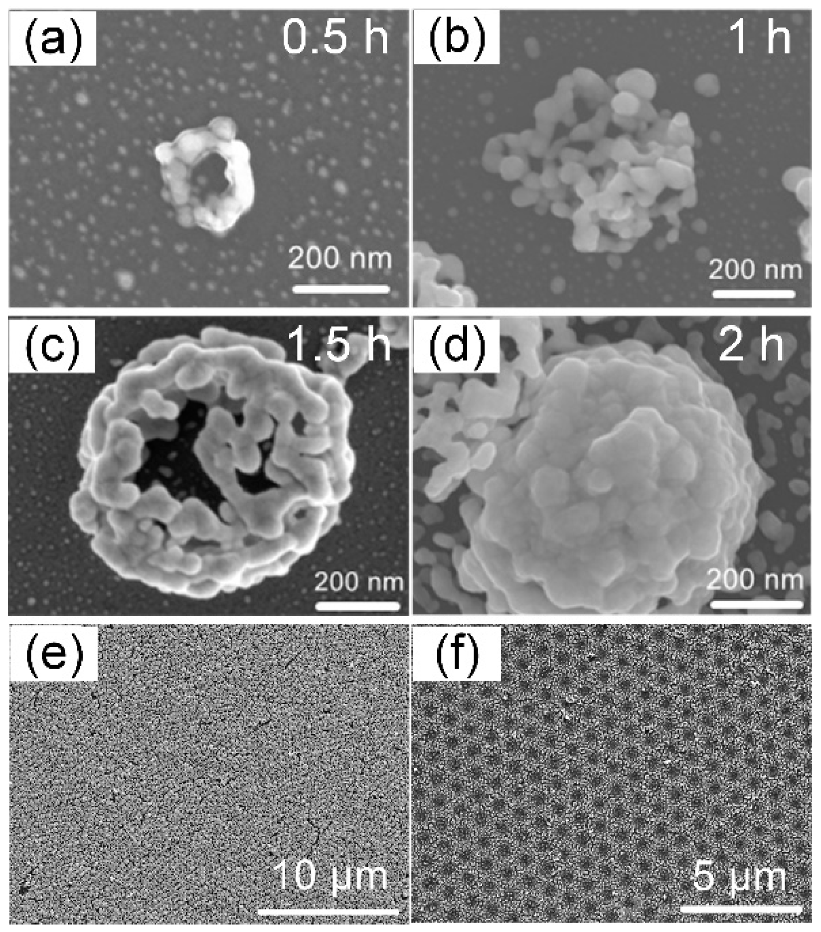 Nanomaterials 12 00970 g002