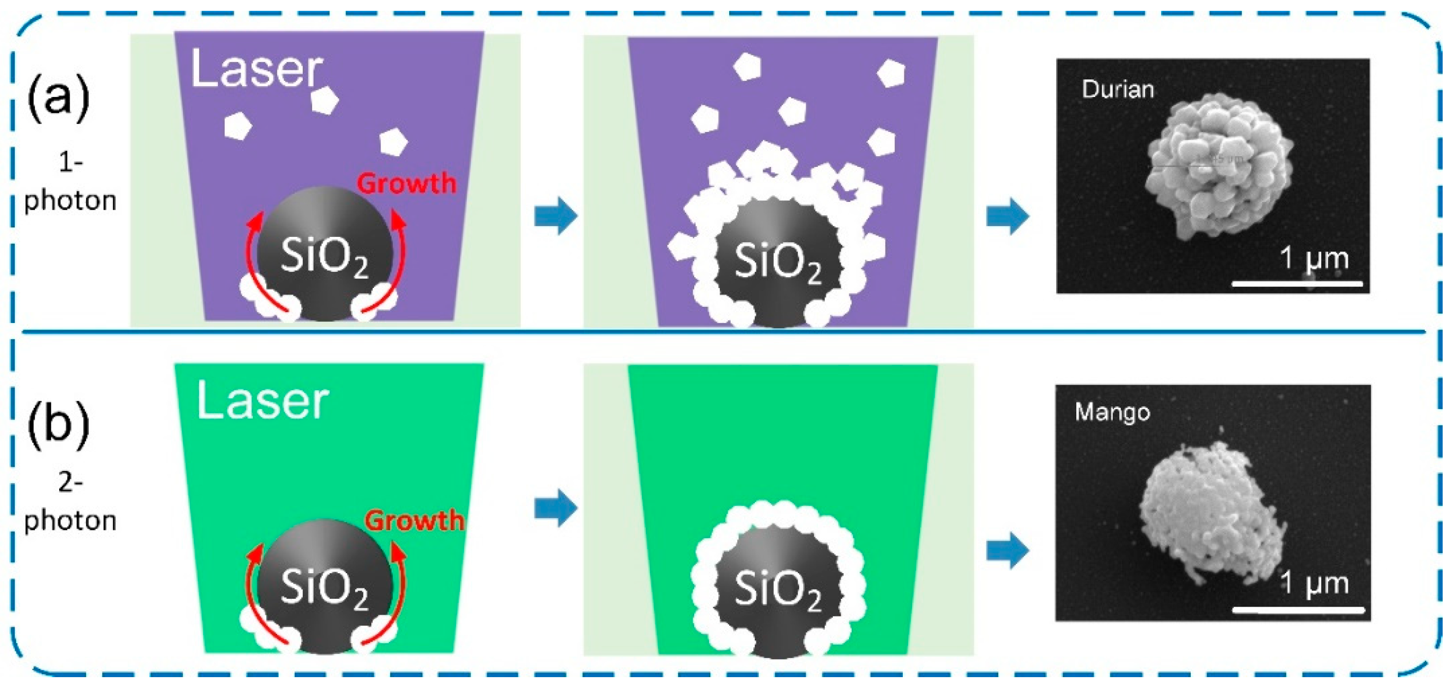 Nanomaterials 12 00970 g005