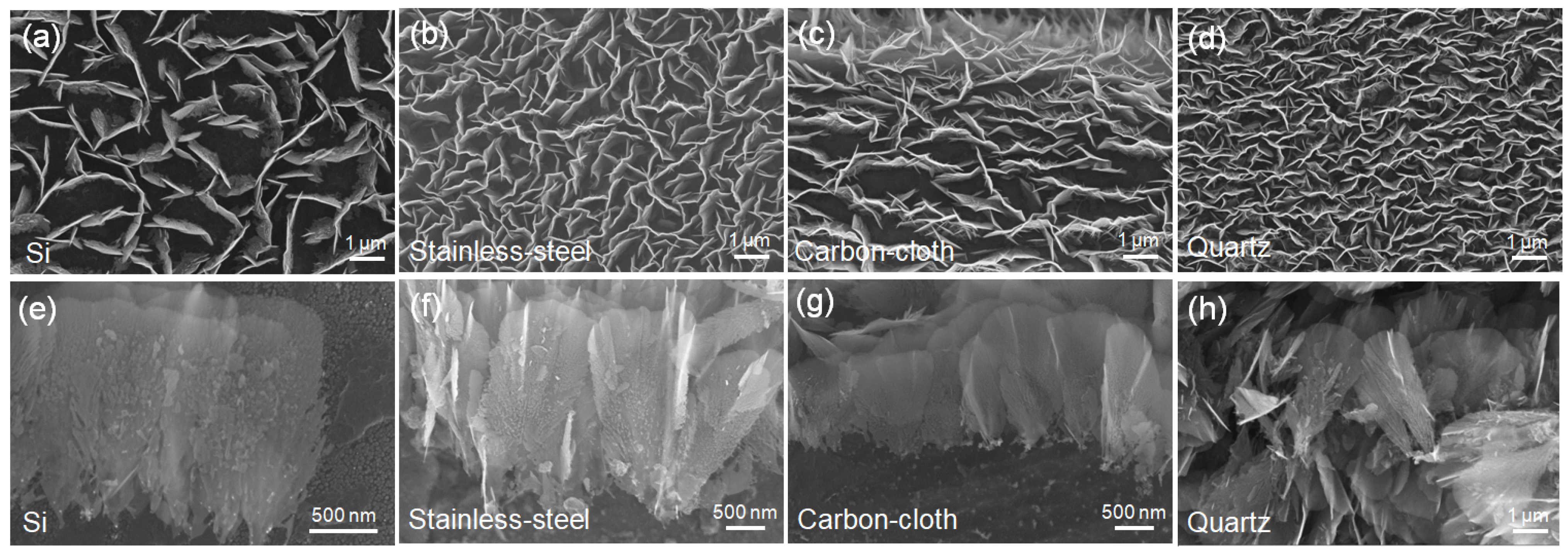 Nanomaterials 12 00971 g001