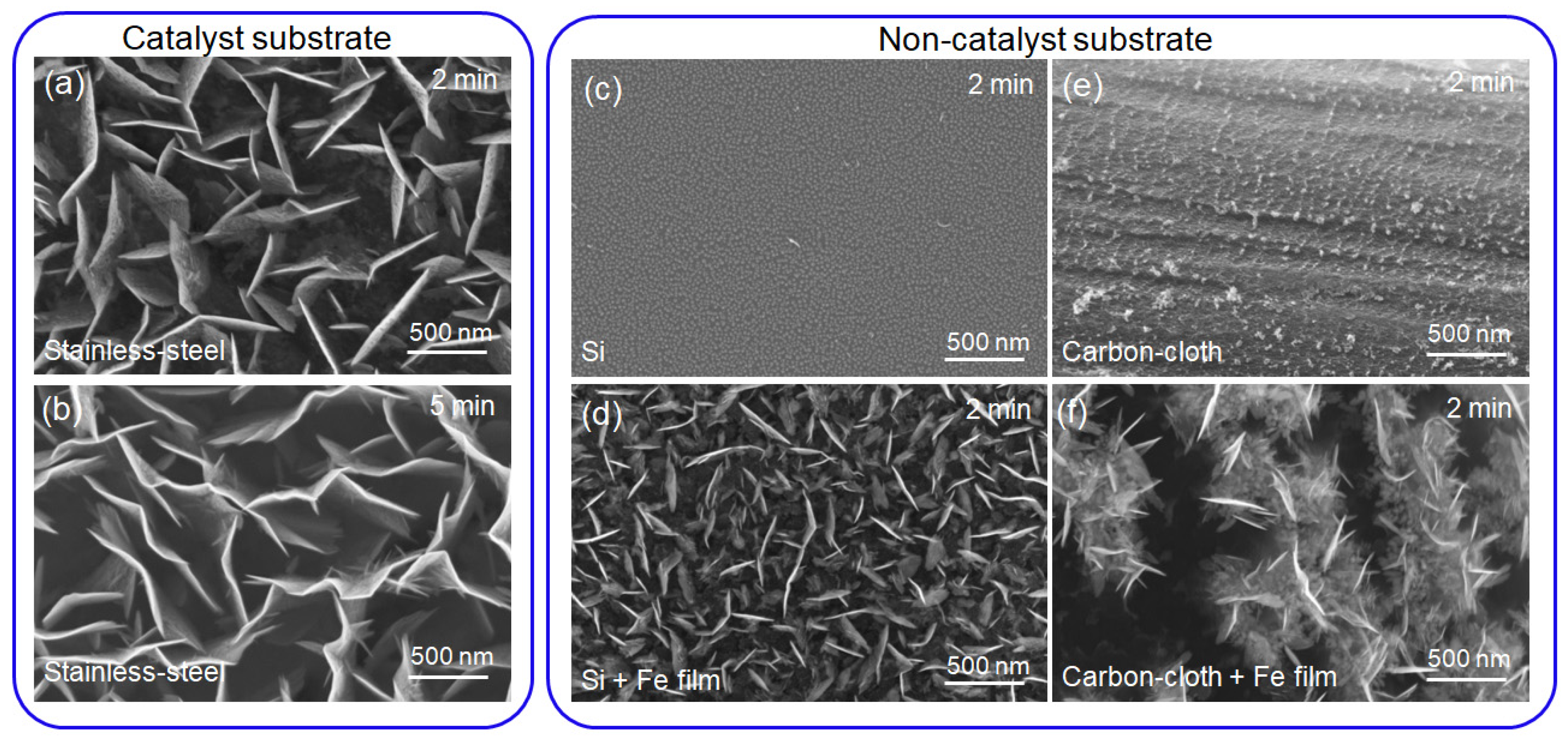 Nanomaterials 12 00971 g003