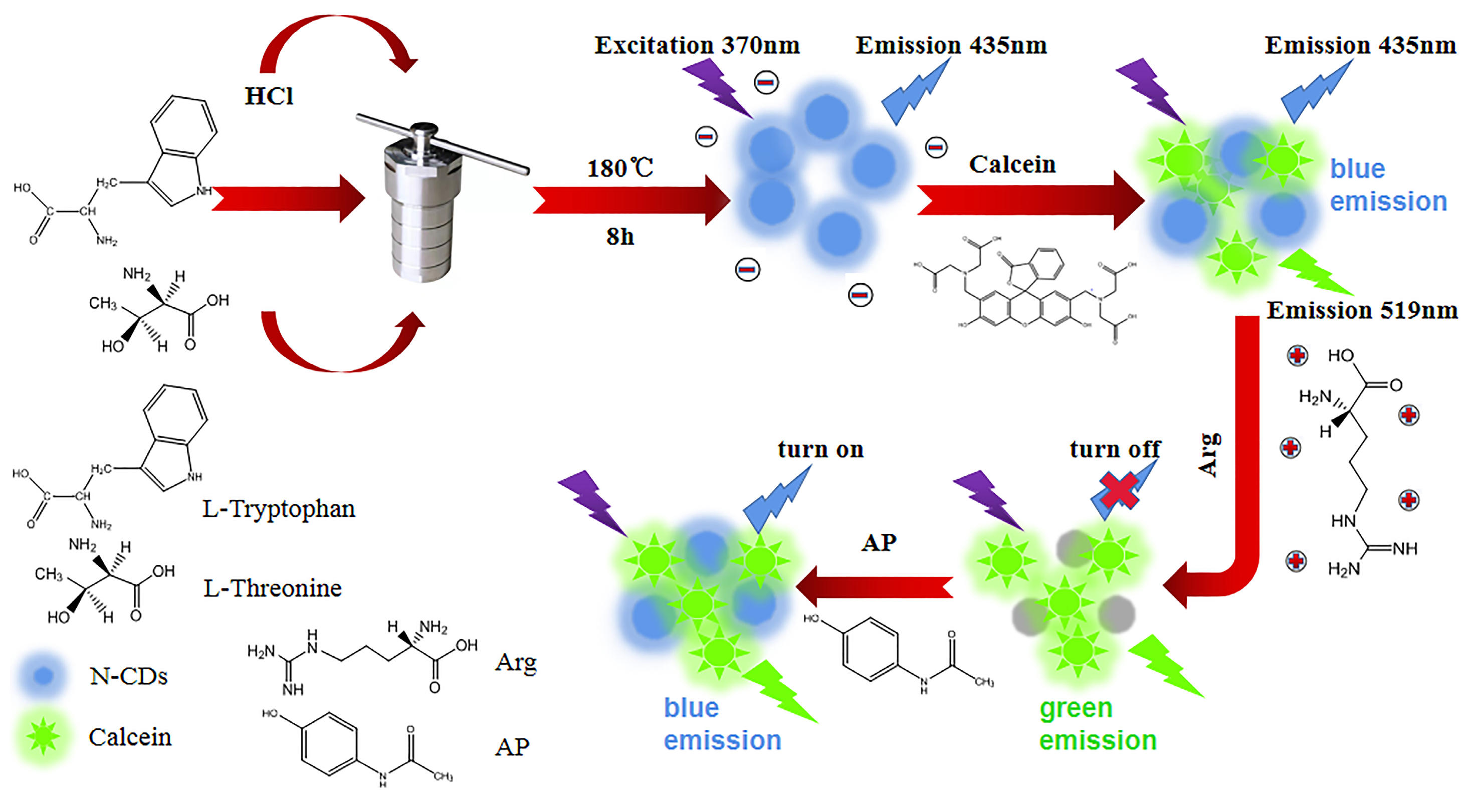 Nanomaterials 12 00976 g001