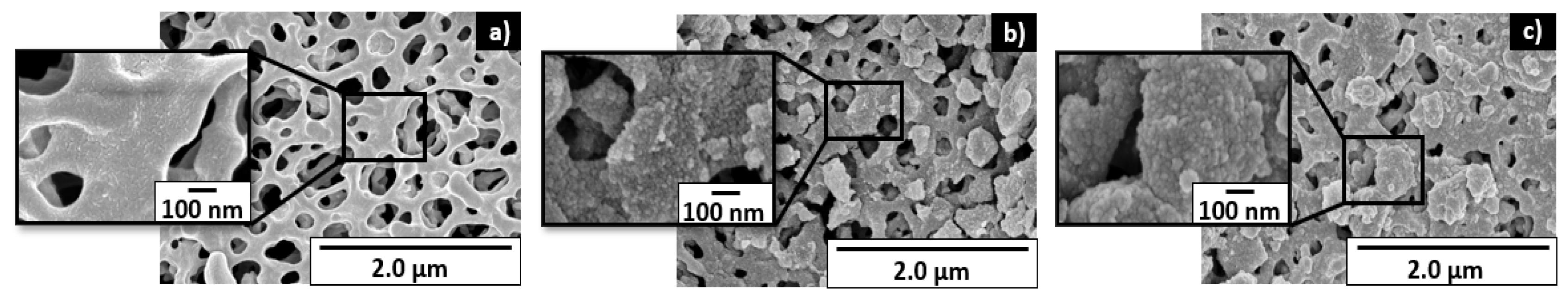 Nanomaterials 12 01005 g008