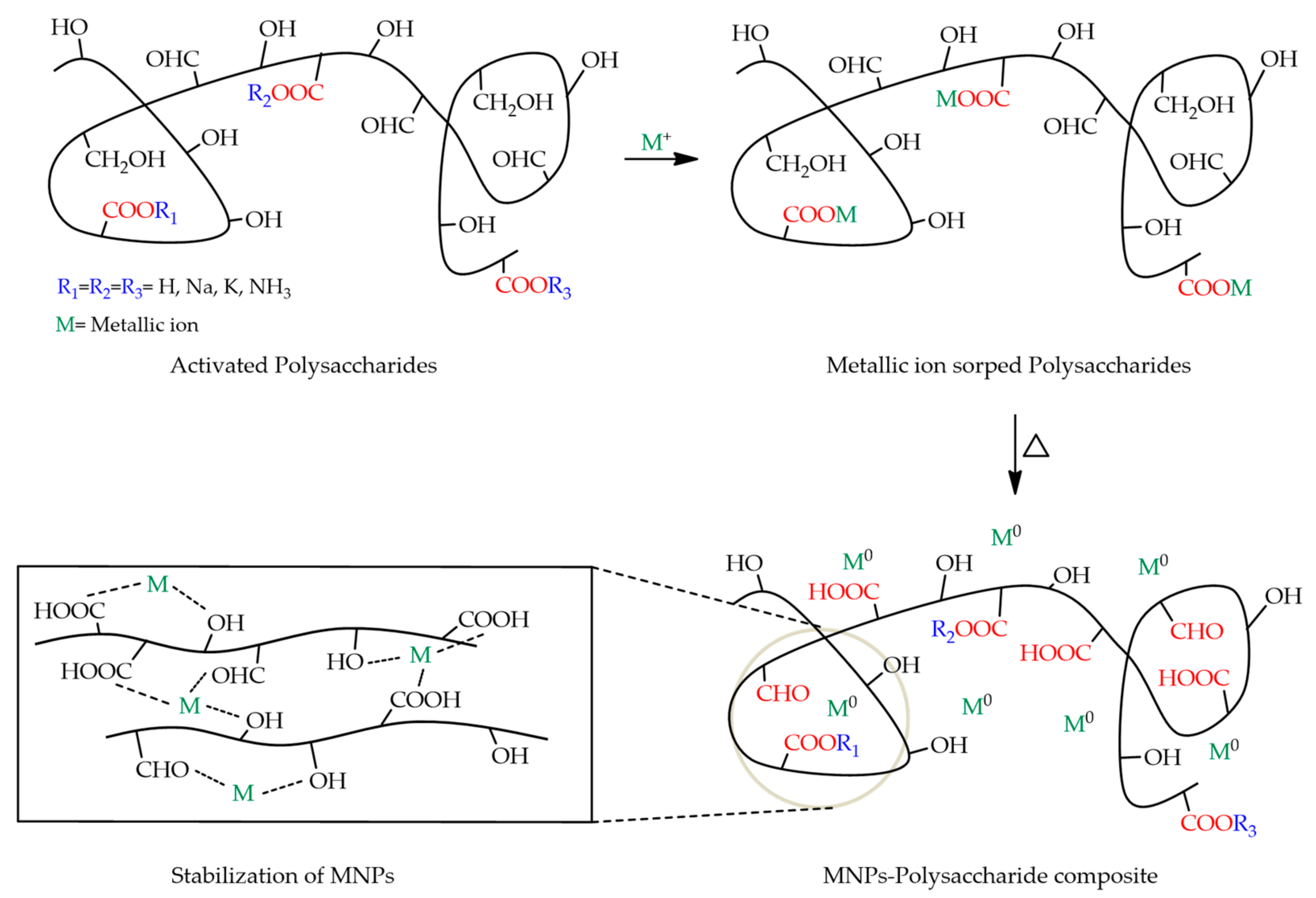 Nanomaterials 12 01006 g003