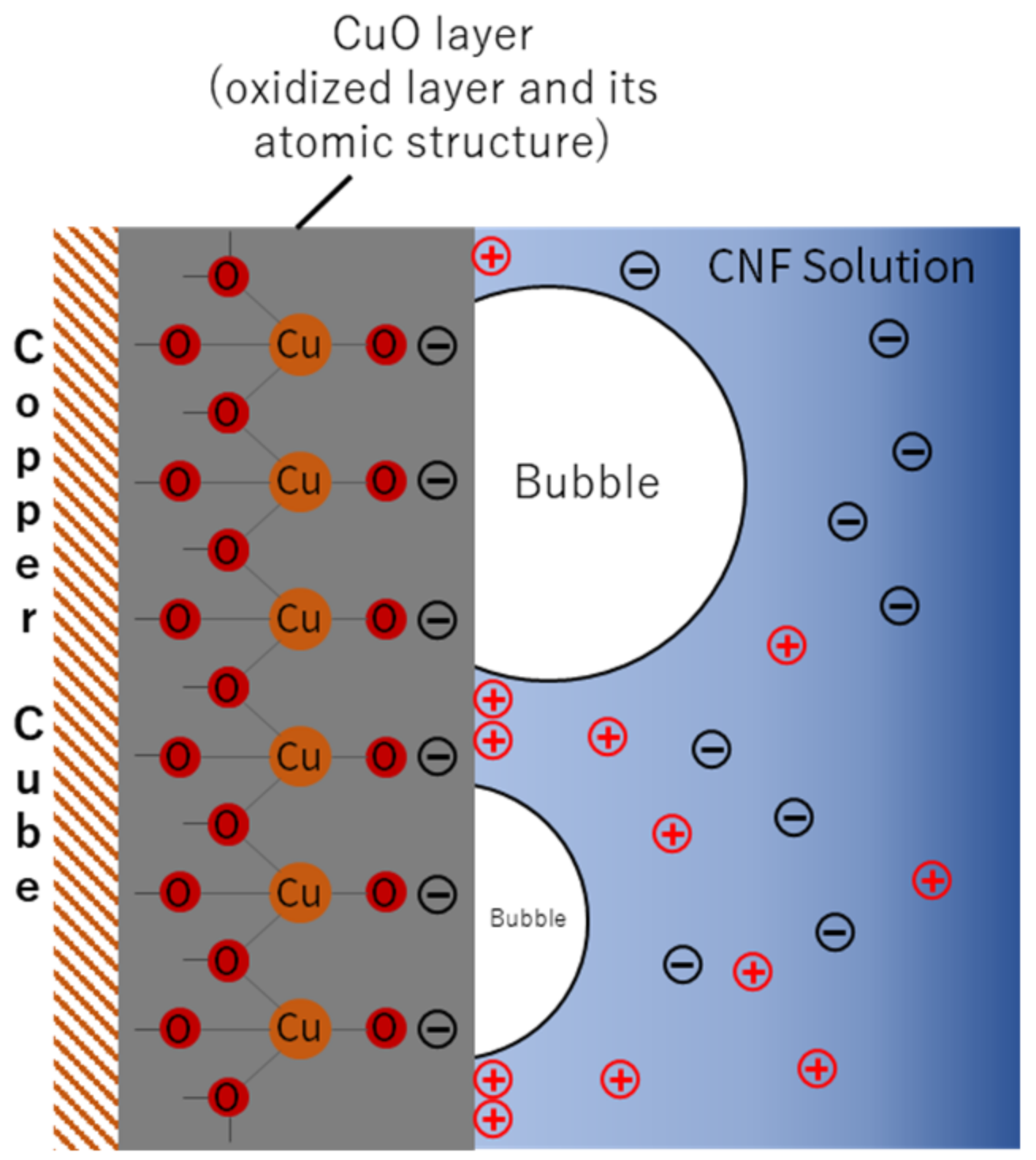 Nanomaterials 12 01033 g007