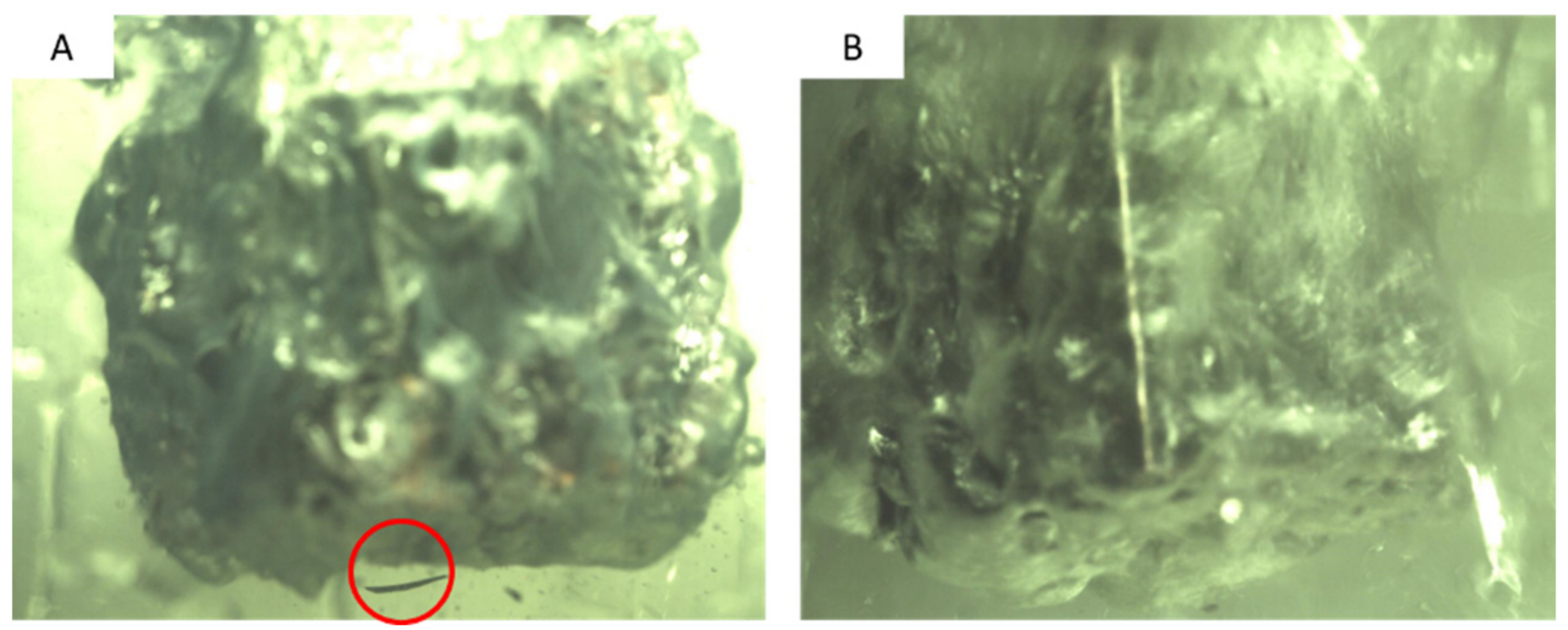 Nanomaterials 12 01033 g009
