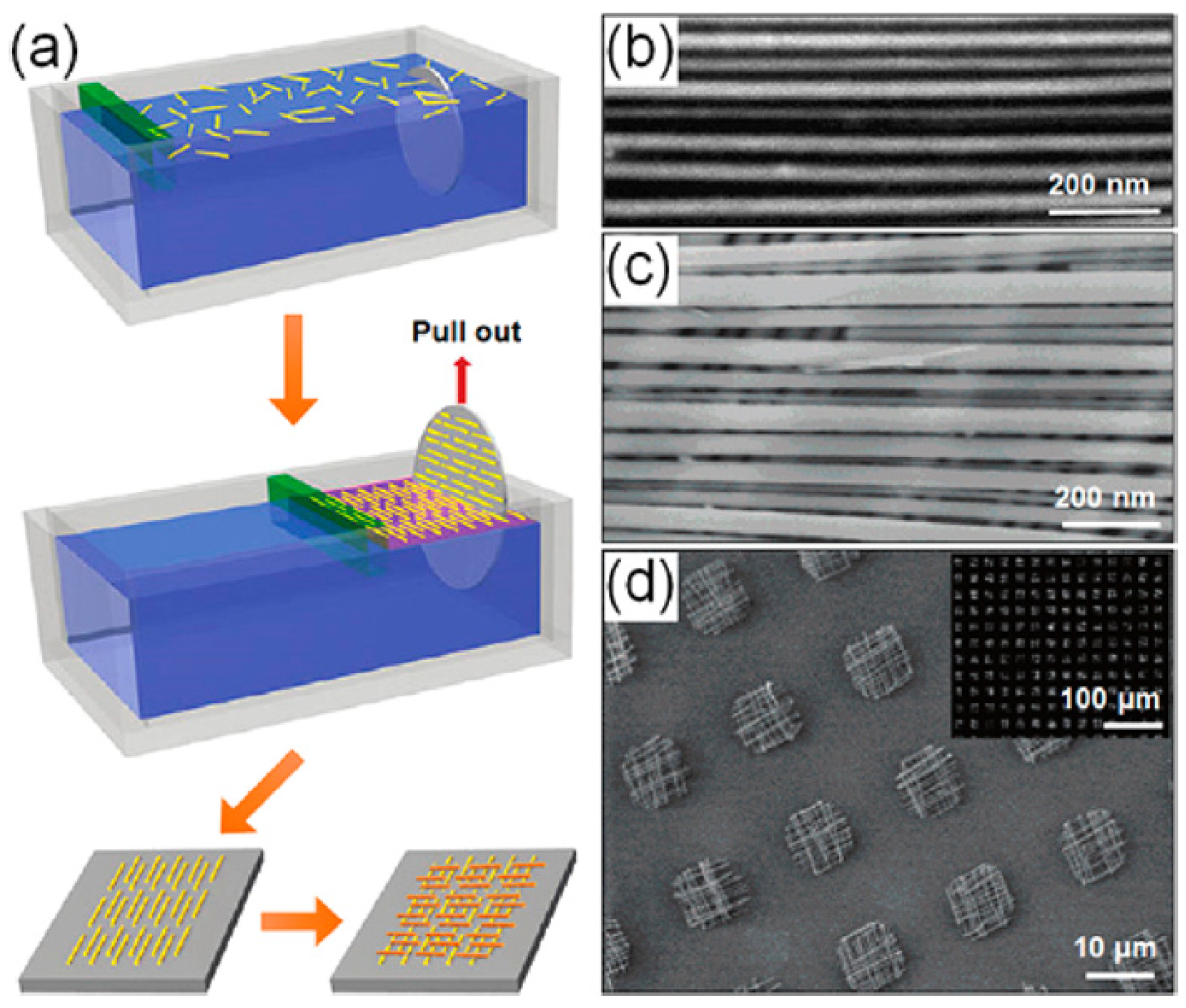 Nanomaterials 12 01043 g010