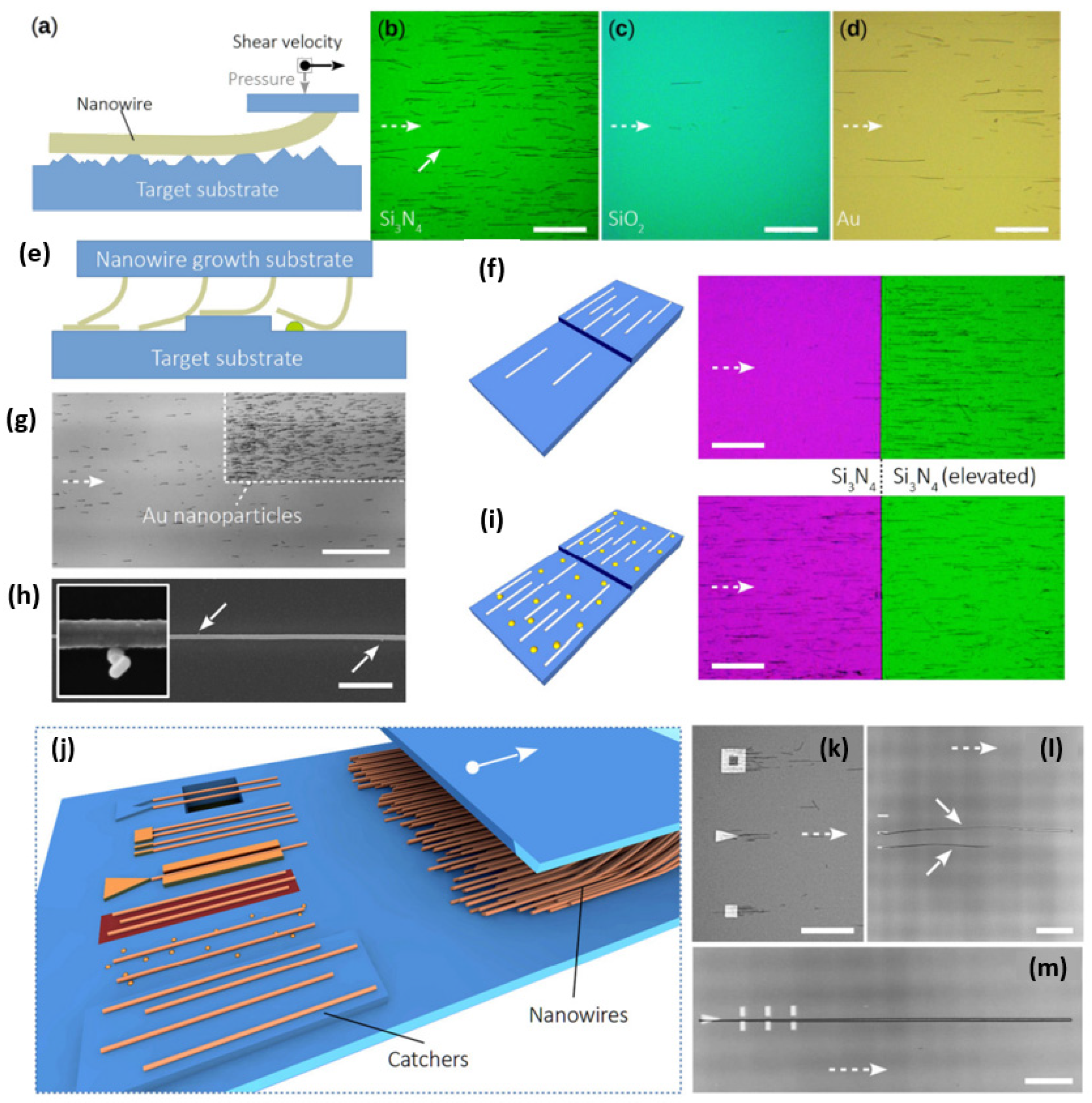 Nanomaterials 12 01043 g014