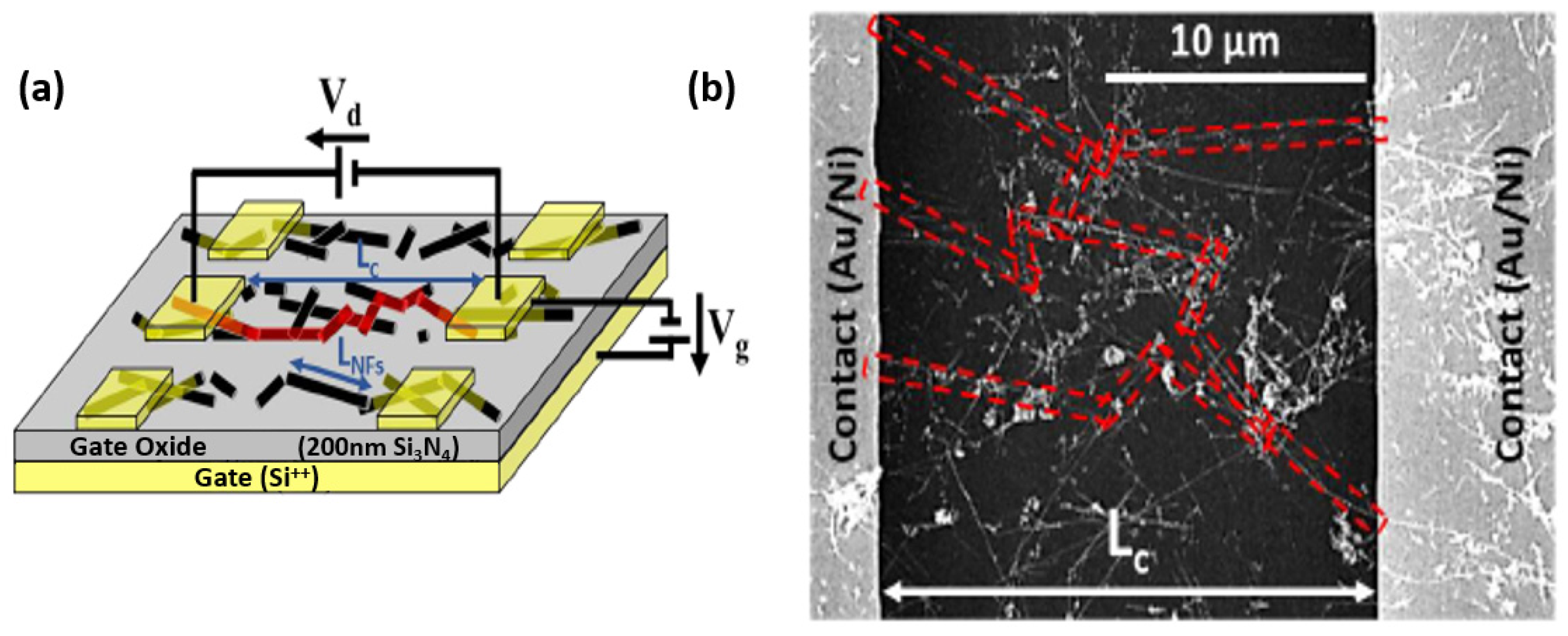 Nanomaterials 12 01043 g022