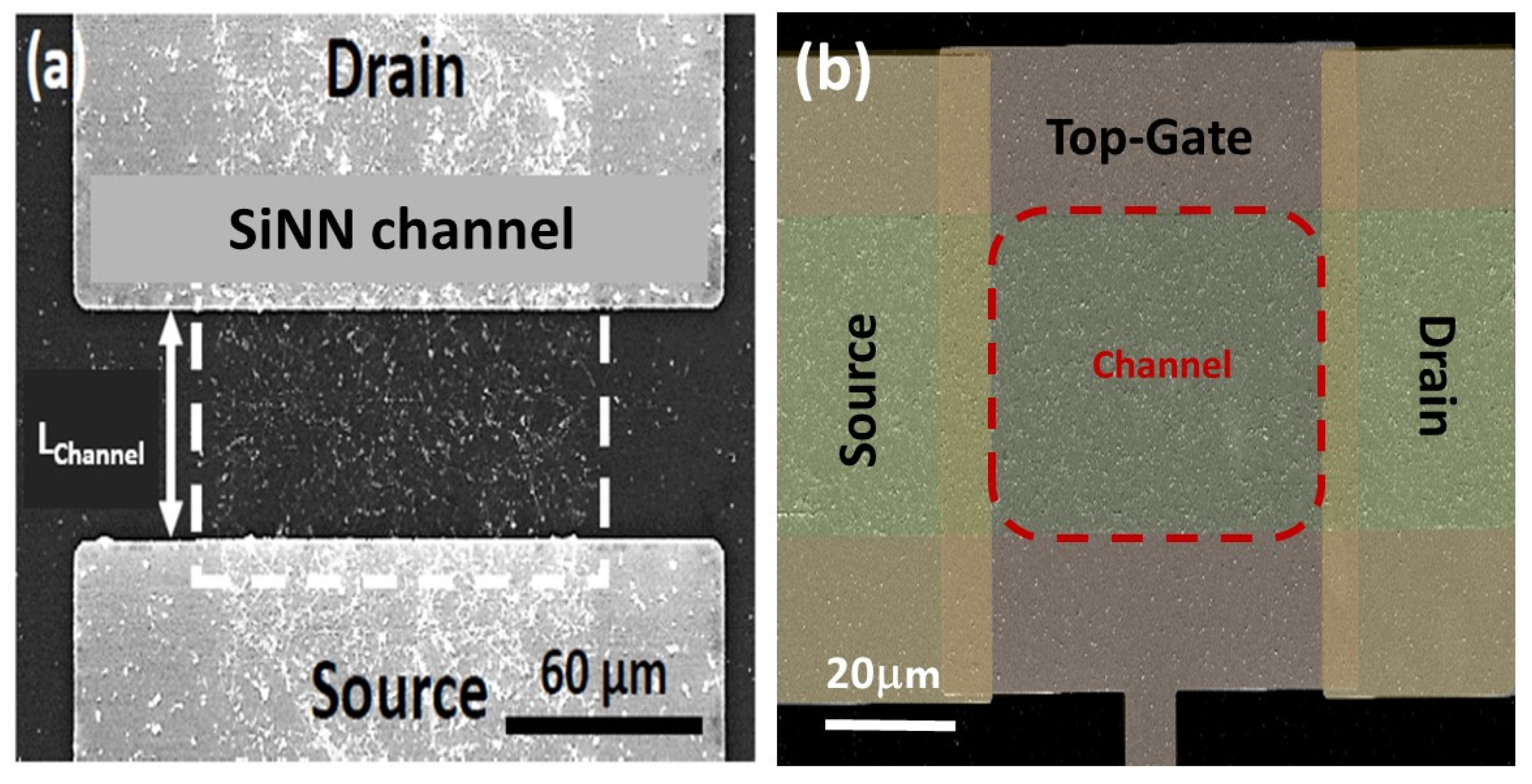 Nanomaterials 12 01043 g024
