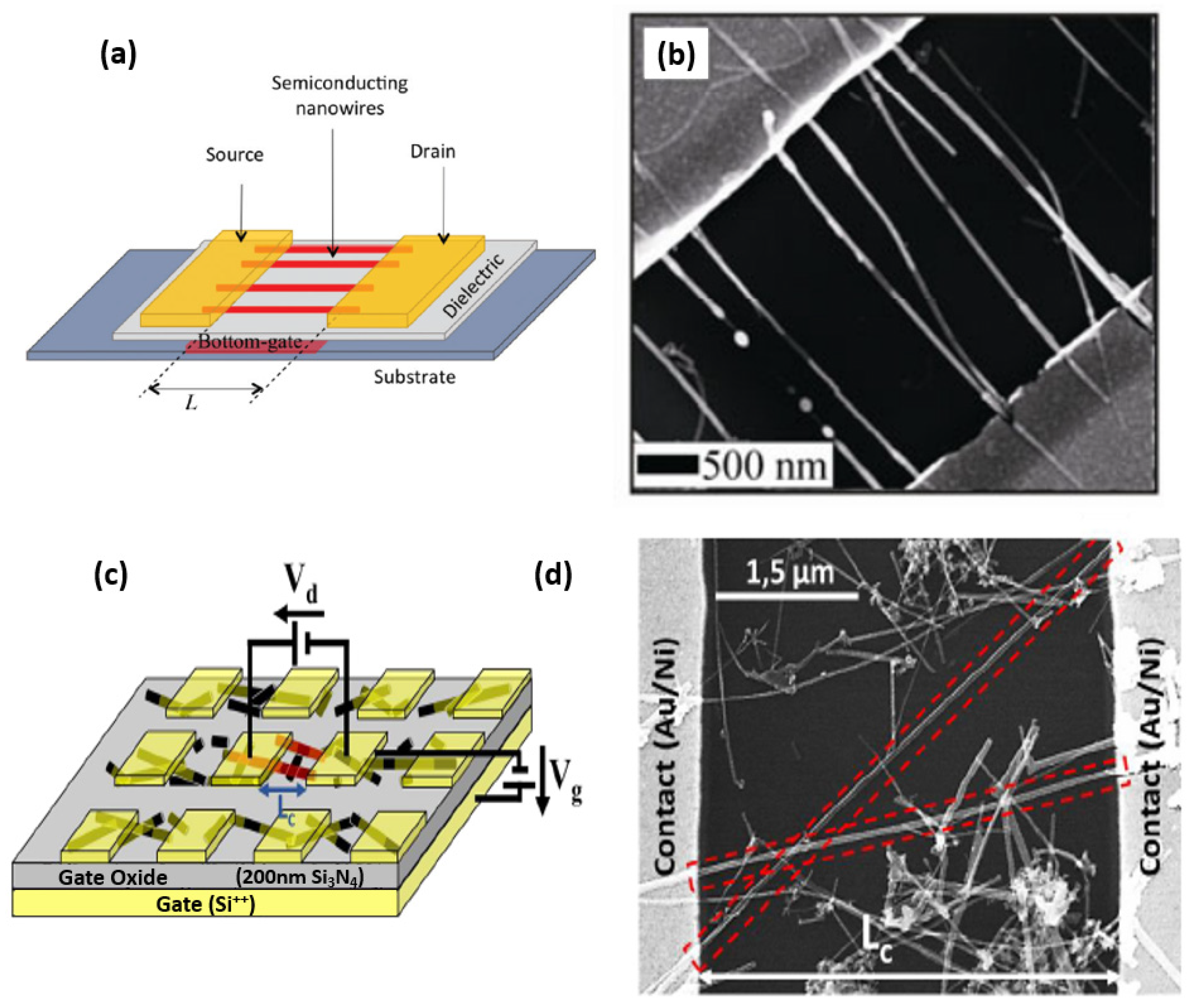 Nanomaterials 12 01043 g025