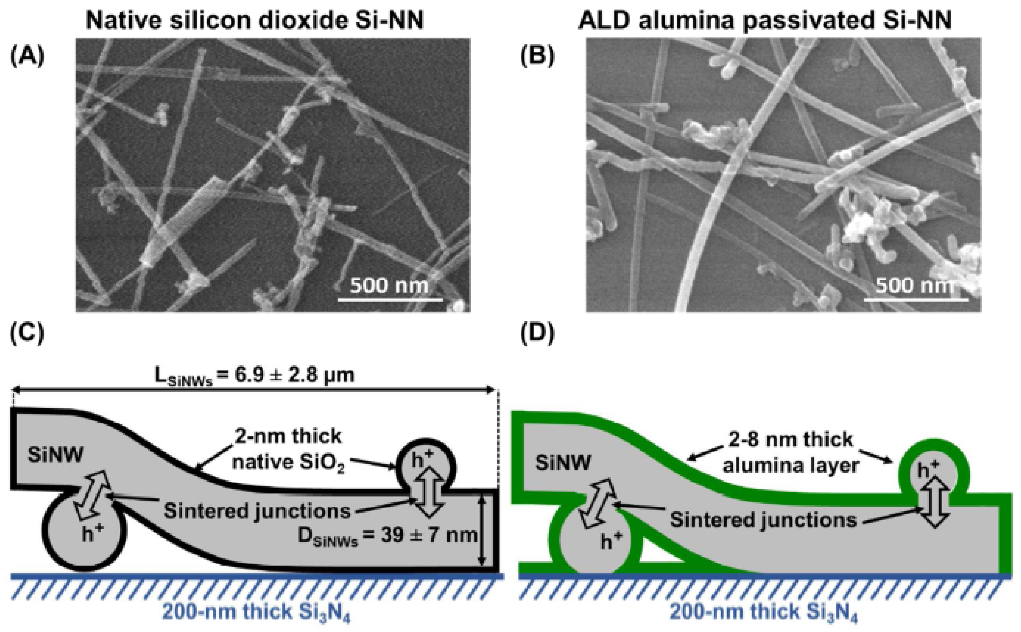 Nanomaterials 12 01043 g034