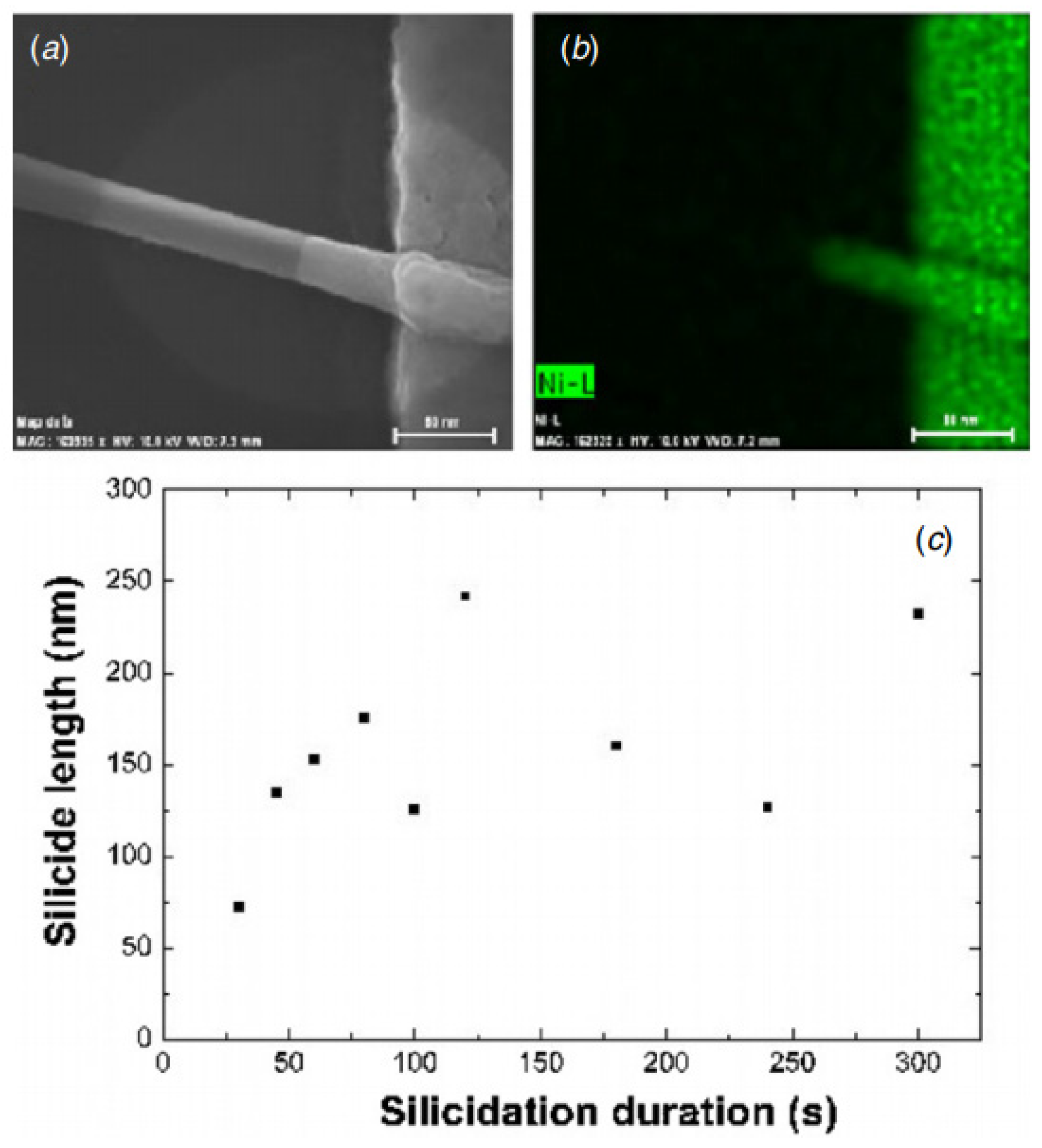 Nanomaterials 12 01043 g041